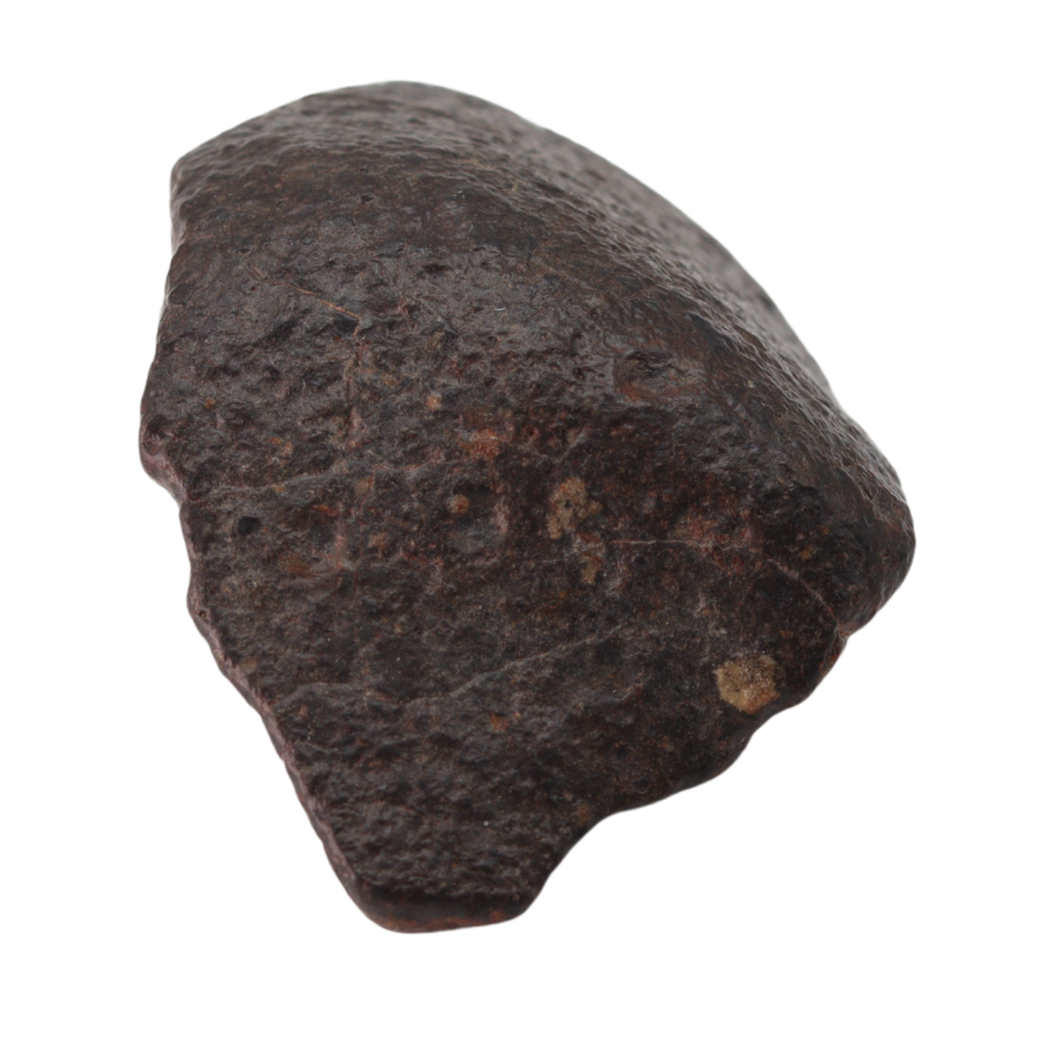 NWA 869 Meteorite L3-6 Regolith Breccia (23.69 g). - MBS meteorite 