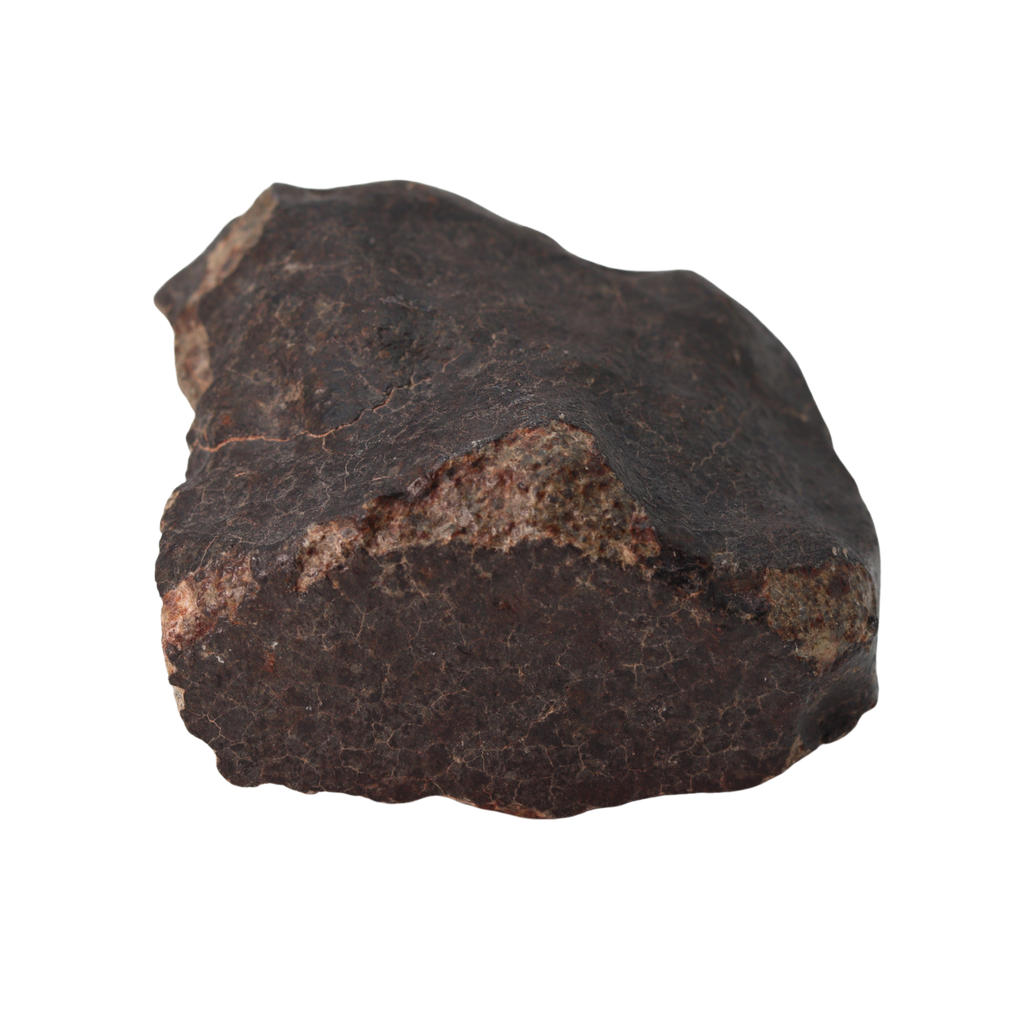 NWA 13281 Meteorite Ordinary Chondrite L5 (285 g) - MBS meteorite 