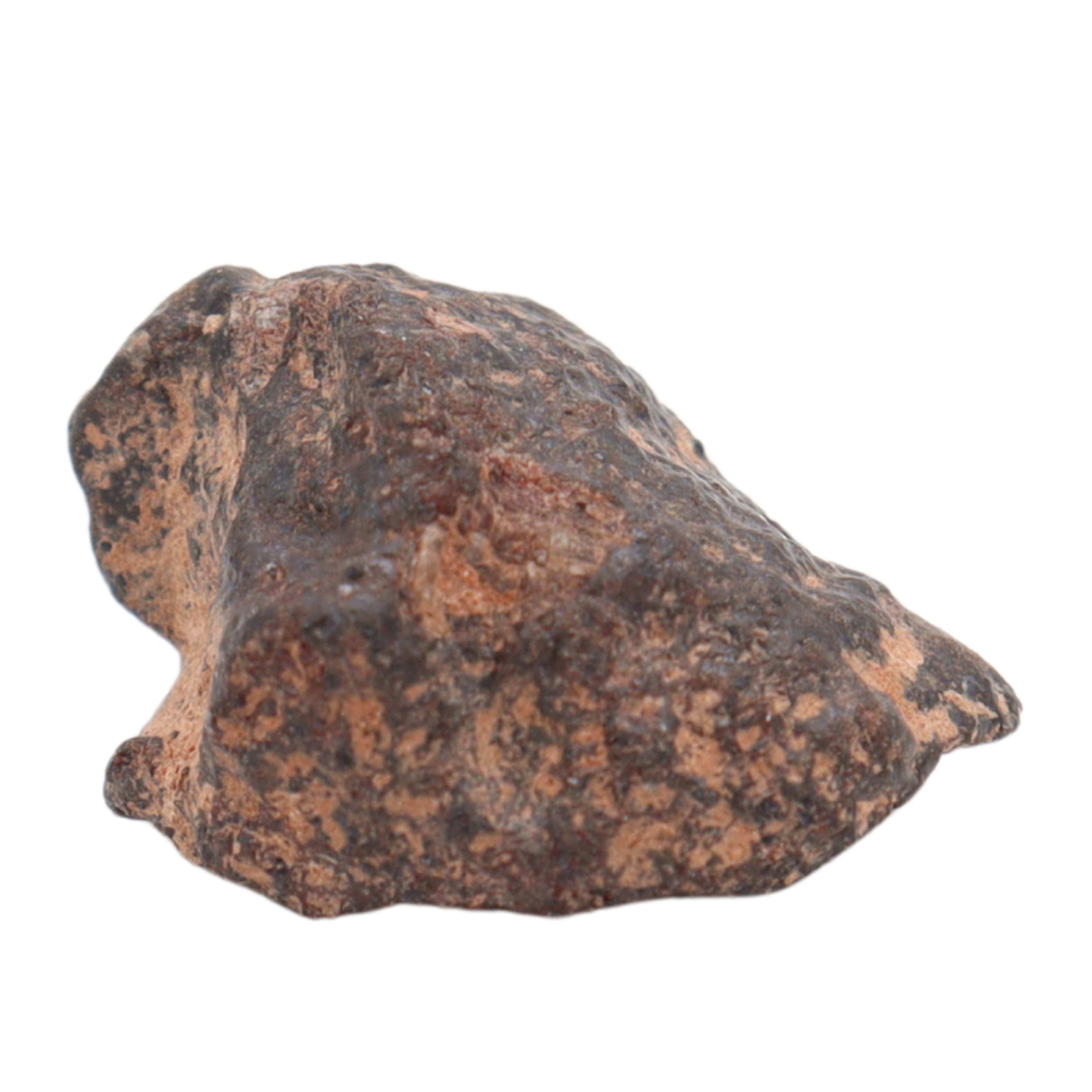 Rafsa 007 Meteorite Plutonic Angrite (3.1 g). - MBS meteorite 