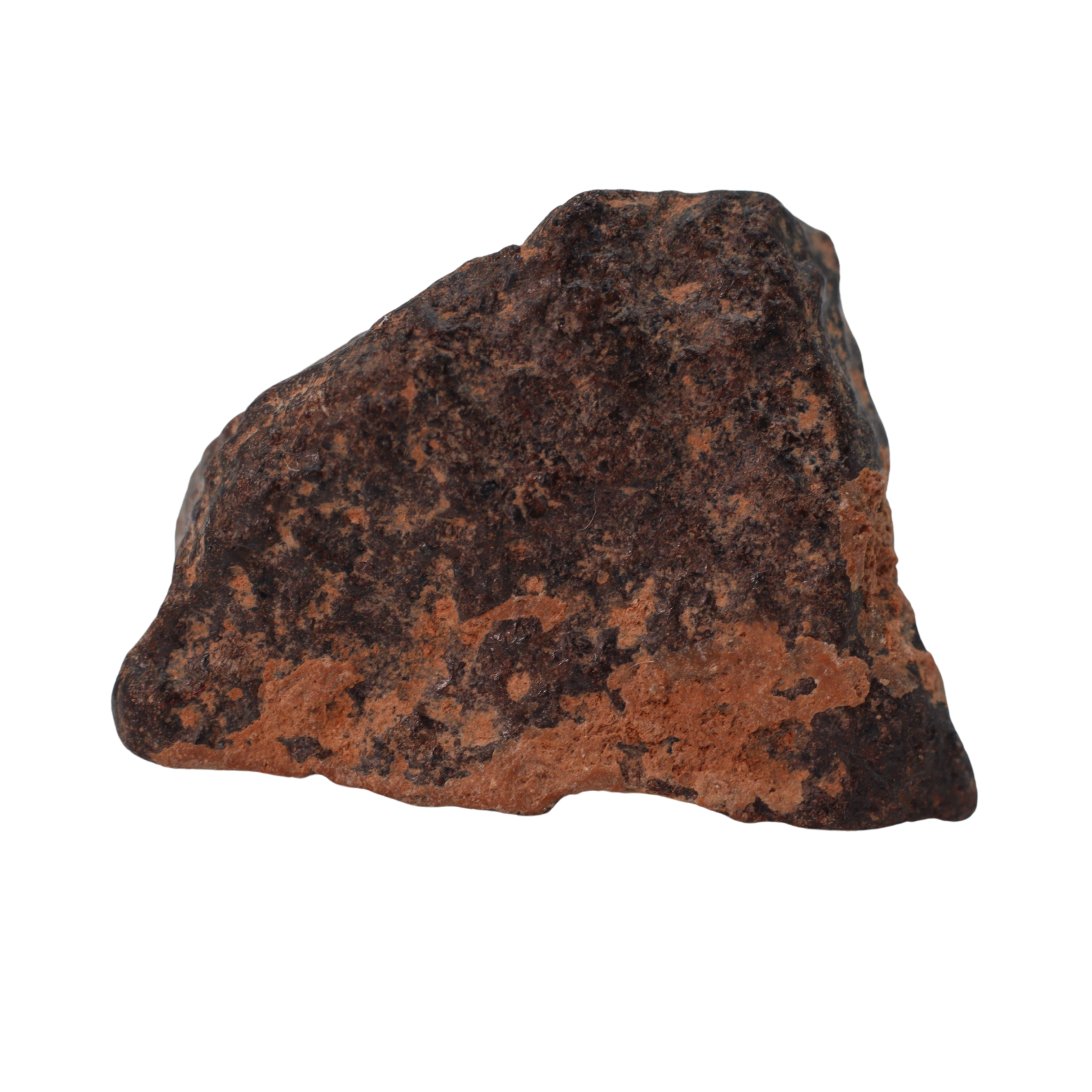 Rafsa 007 Meteorite Angrite Achondrite (4.5 g) - MBS meteorite 
