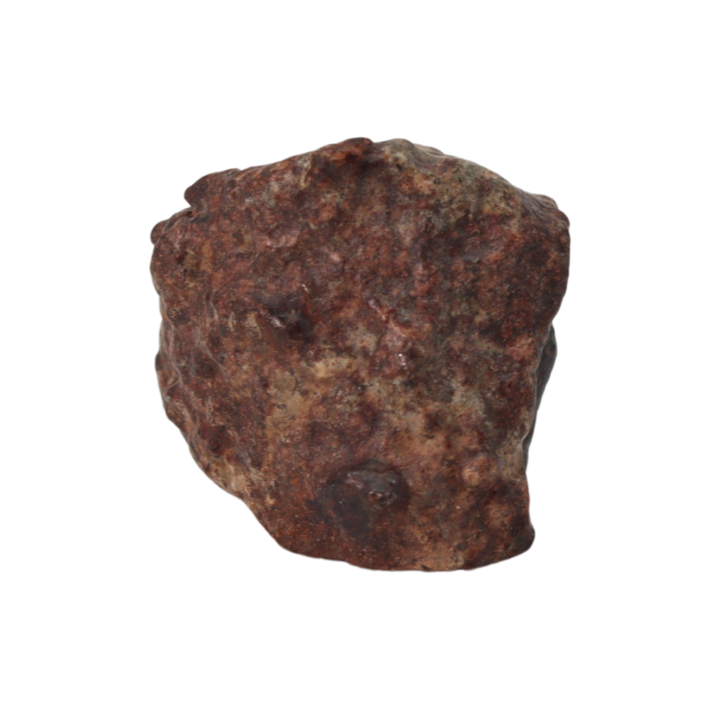 NWA 869 Meteorite Ordinary Chondrite Regolith Breccia (8.64 g) - MBS meteorite 