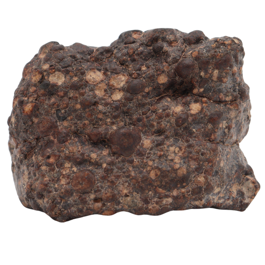 Erg Chech 008 Meteorite Carbonaceous Chondrite CR2 38.9 g - MBS meteorite 