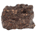 Erg Chech 008 Meteorite Carbonaceous Chondrite CR2 38.9 g - MBS meteorite 