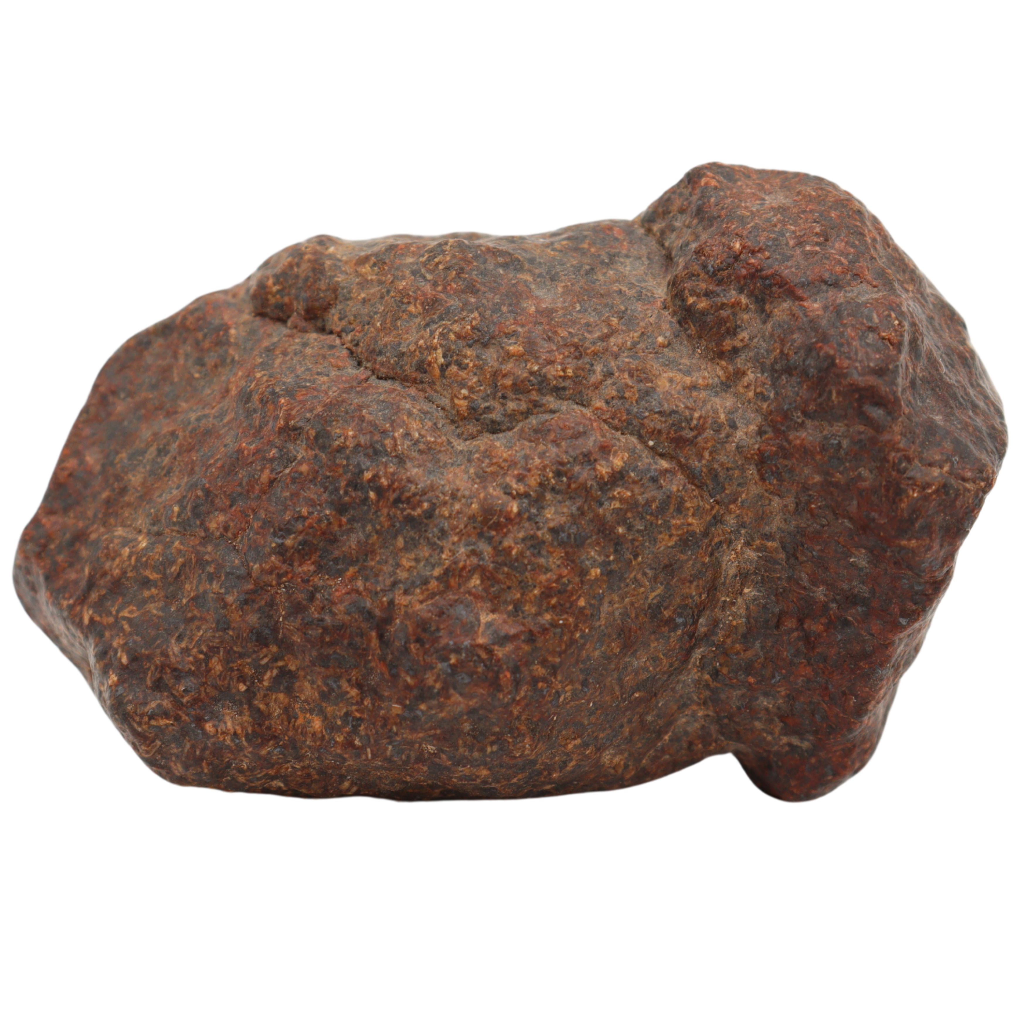 El Hassan Ould Hamed 001 Meteorite Unbrecciated Eucrite HED (83.9 g). - MBS meteorite 