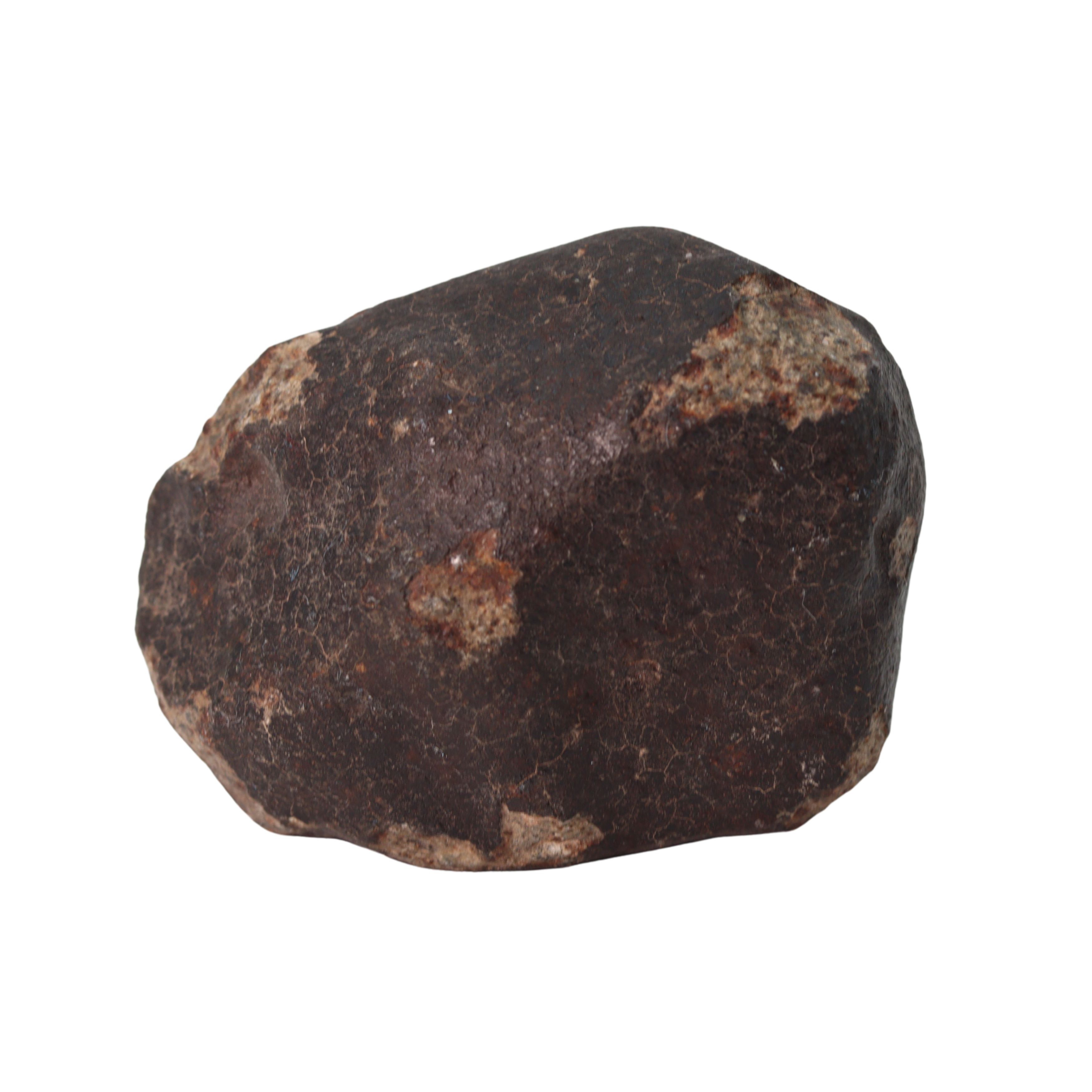 NWA 13281 Meteorite Ordinary Chondrite L5 (109 g) - MBS meteorite 