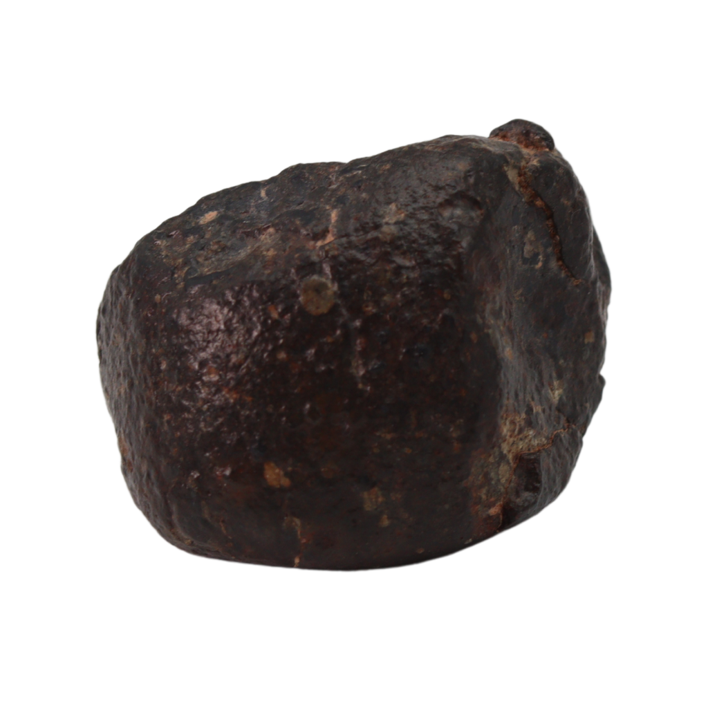 NWA 869 Meteorite Ordinary Chondrite Regolith Breccia (22.11 g) - MBS meteorite 