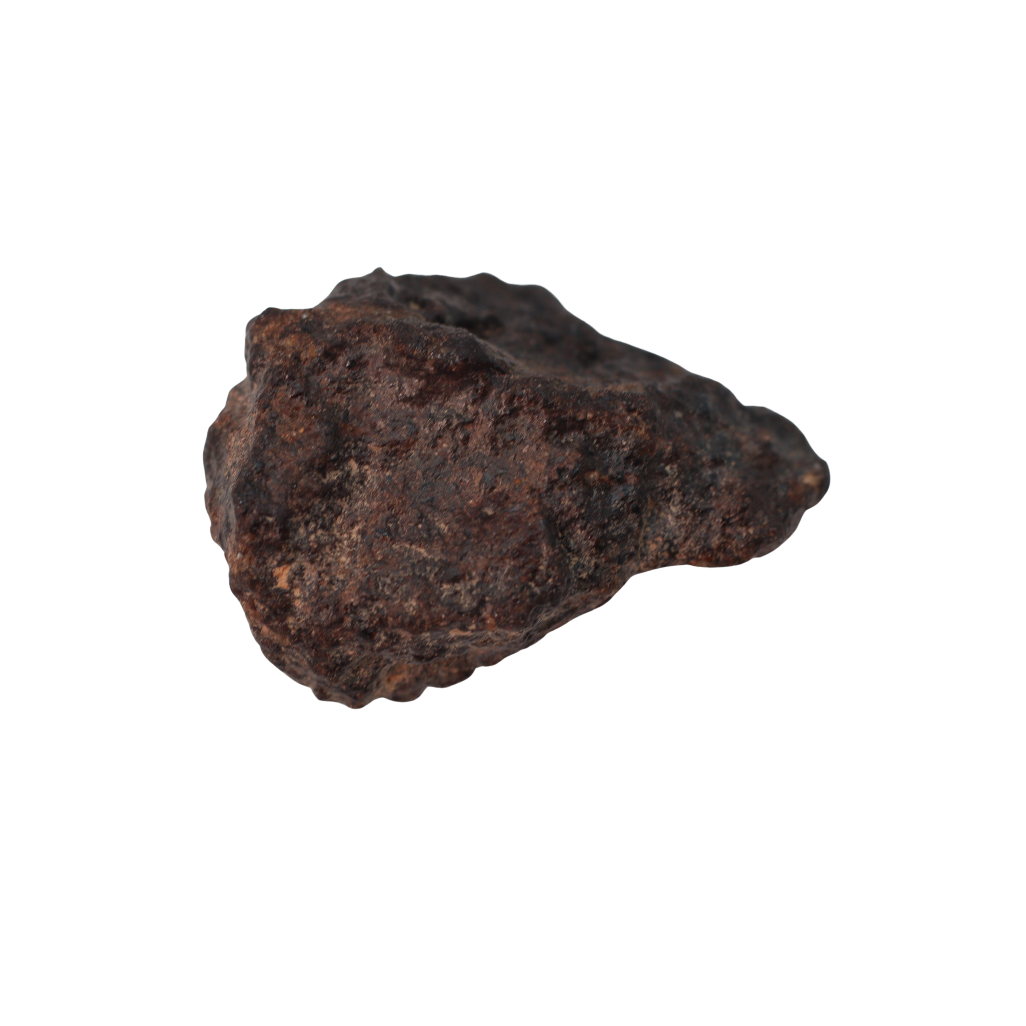Rafsa 007 Meteorite Angrite Achondrite (4.8 g) - MBS meteorite 