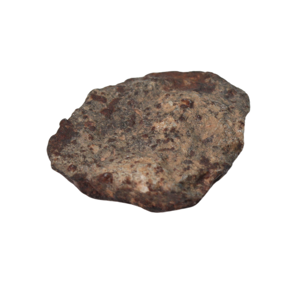 NWA 869 Meteorite Ordinary Chondrite Regolith Breccia (4.4 g) - MBS meteorite 