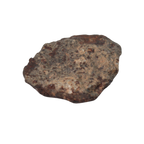 NWA 869 Meteorite Ordinary Chondrite Regolith Breccia (4.4 g) - MBS meteorite 