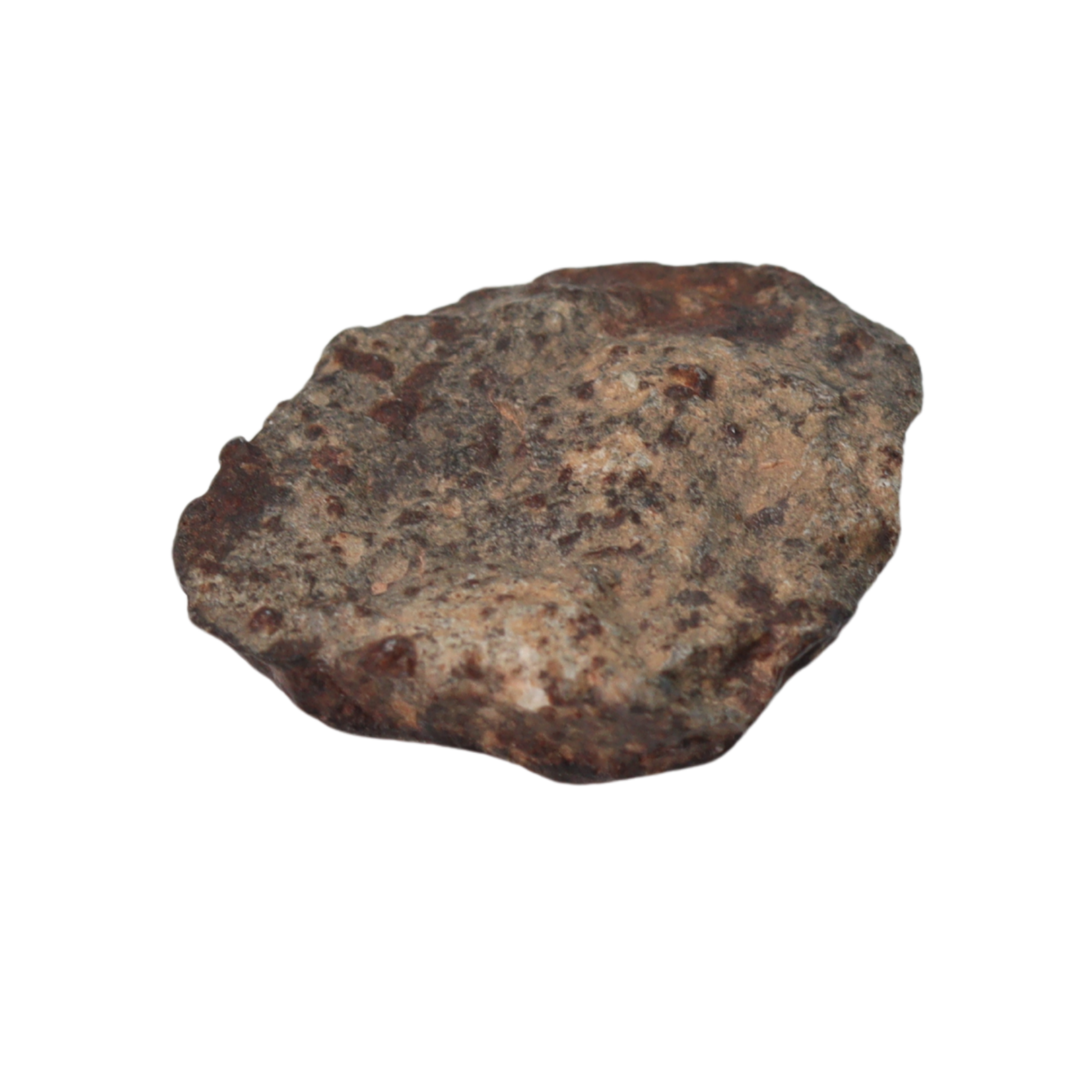 NWA 869 Meteorite Ordinary Chondrite Regolith Breccia (4.4 g) - MBS meteorite 