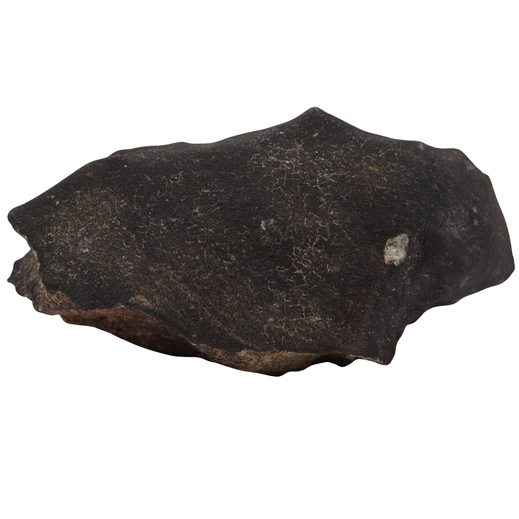 Tanezrouft 090 Meteorite Ordinary Chondrite L6 (1742 g) - MBS meteorite 