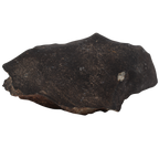 Tanezrouft 090 Meteorite Ordinary Chondrite L6 (1742 g) - MBS meteorite 