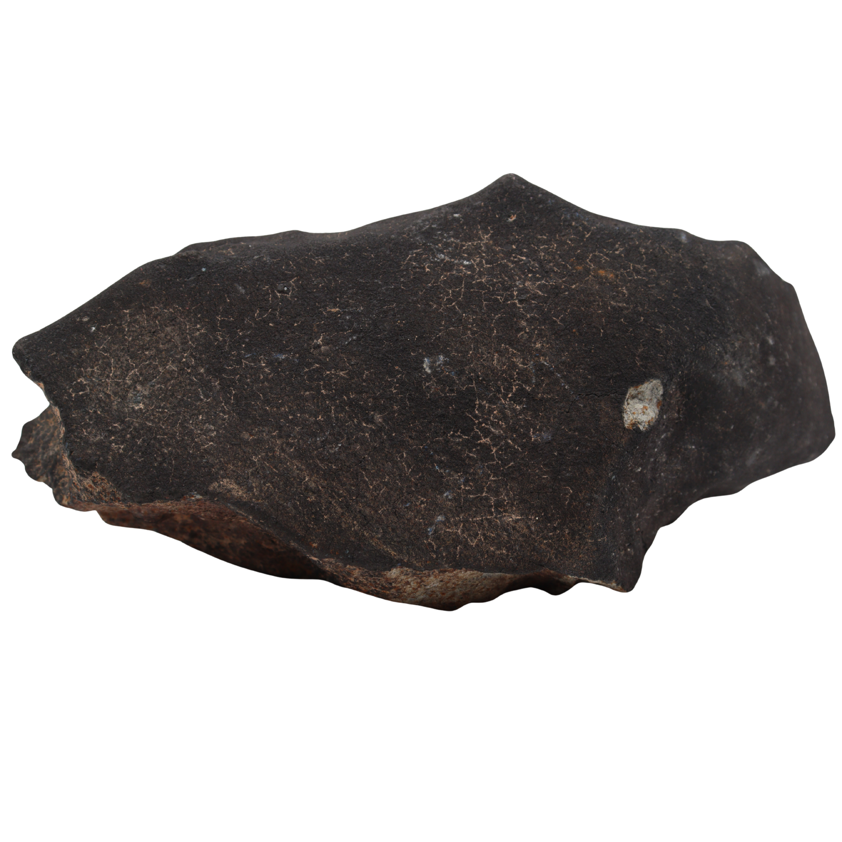 Tanezrouft 090 Meteorite Ordinary Chondrite L6 (1742 g) - MBS meteorite 