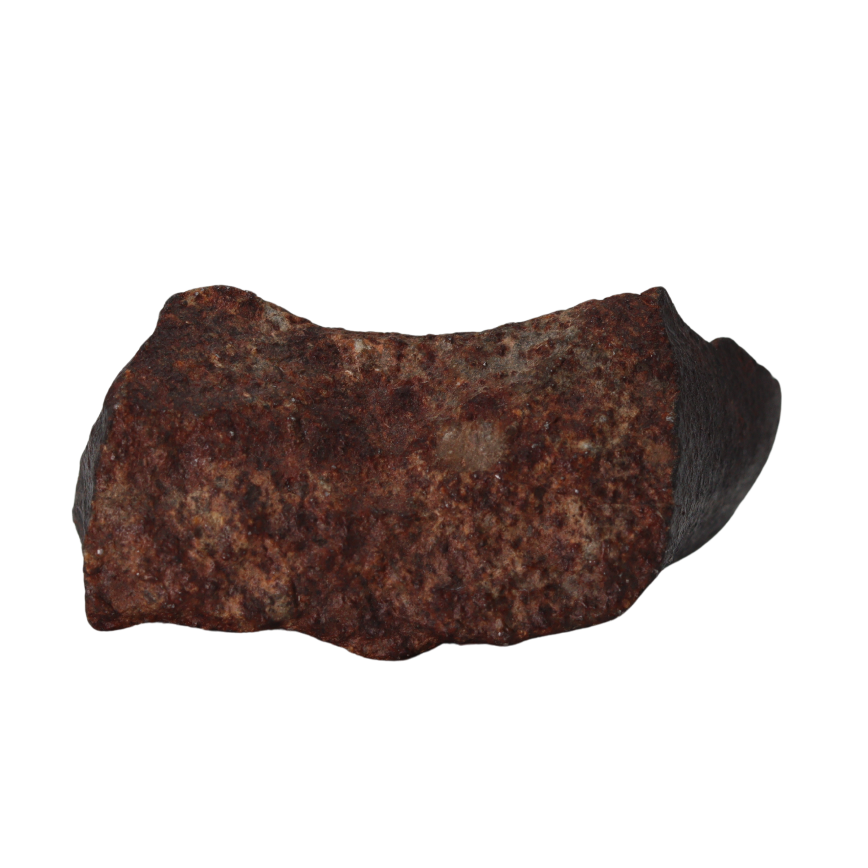 NWA 13281 Meteorite L5 Chondrite (50 g). - MBS meteorite 