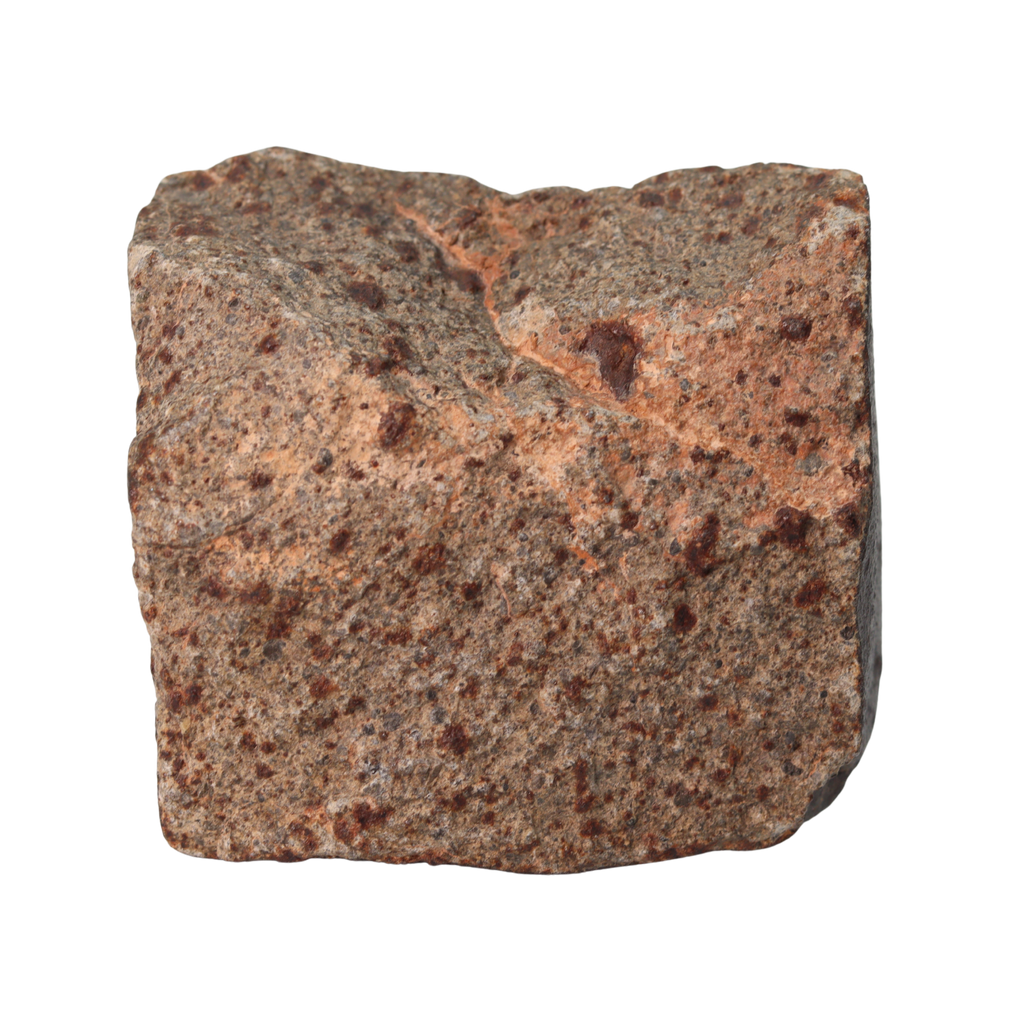 NWA 13281 Meteorite Ordinary Chondrite L5 (285 g) - MBS meteorite 