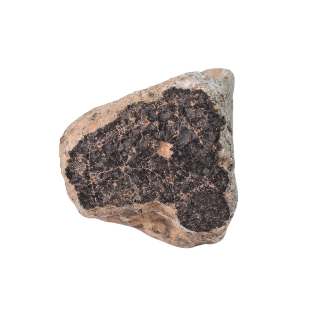 Unclassified Meteorite HED Achondrite Likely Eucrite (15.9 g) - MBS meteorite 