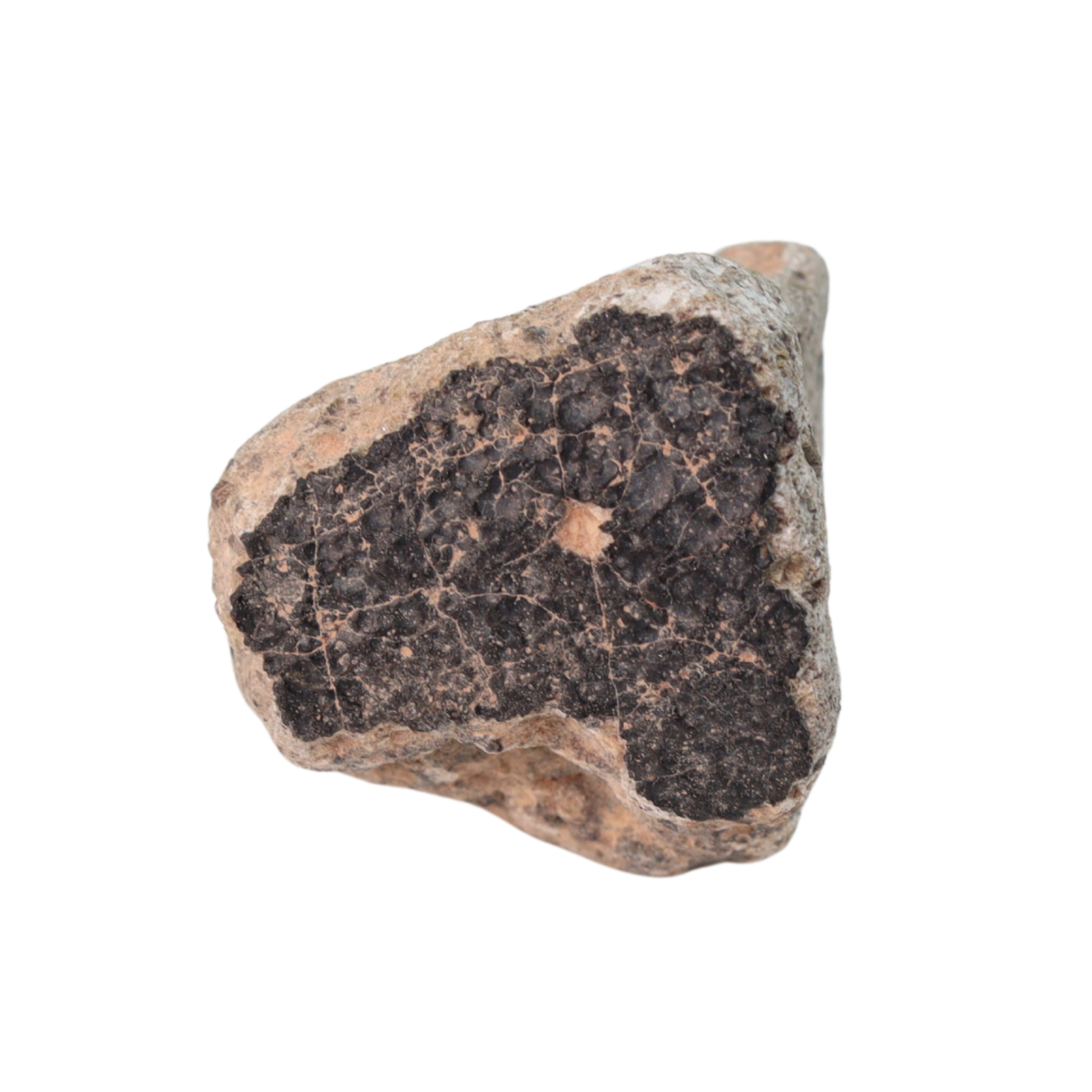 Unclassified Meteorite HED Achondrite Likely Eucrite (15.9 g) - MBS meteorite 