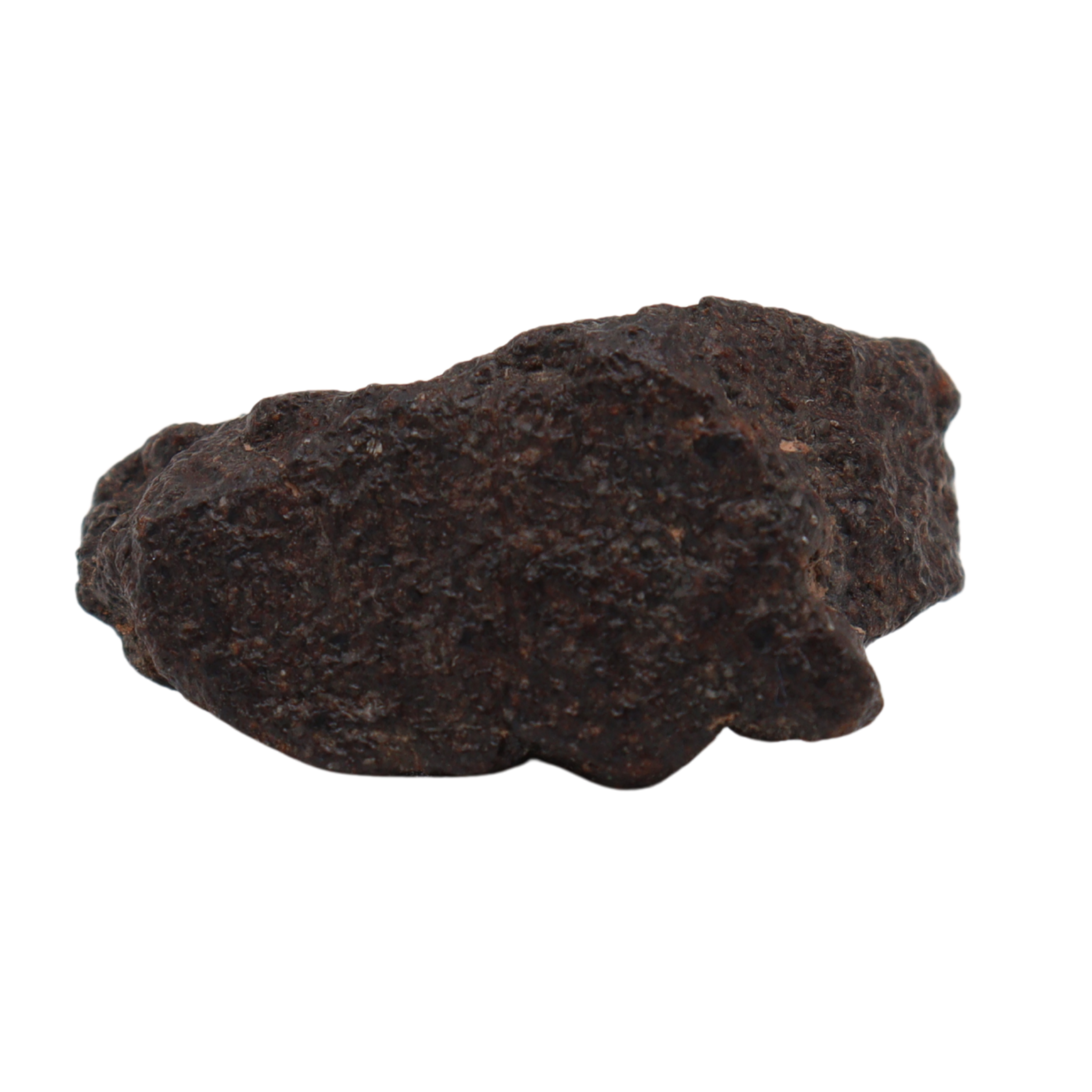 NWA 16208 - Rare Primitive Achondrite Winonaite (9.9 g). - MBS meteorite 