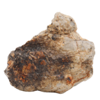 Djoua 001 Meteorite Aubrite Enstatite Achondrite (12.1 g). - MBS meteorite 