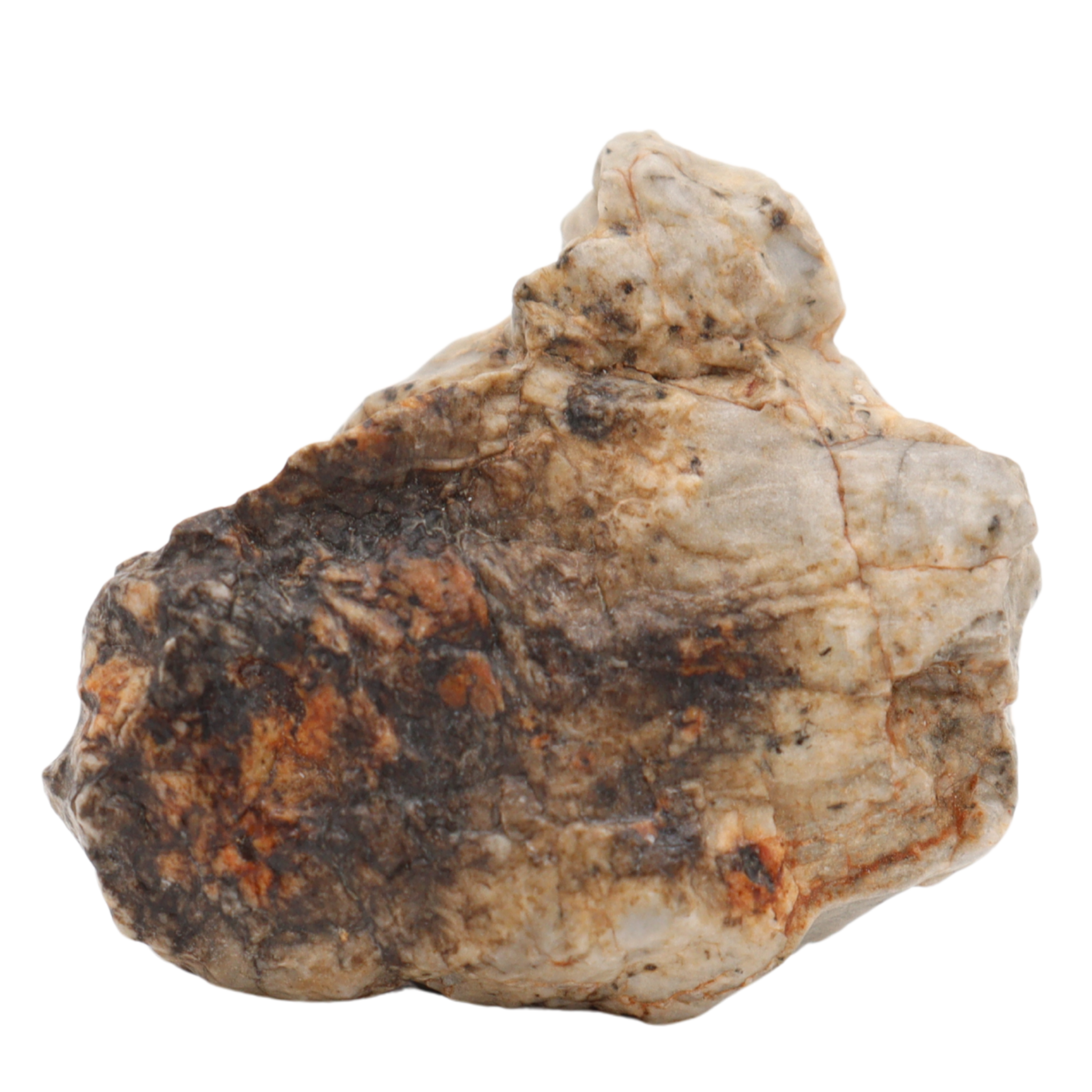 Djoua 001 Meteorite Aubrite Enstatite Achondrite (12.1 g). - MBS meteorite 