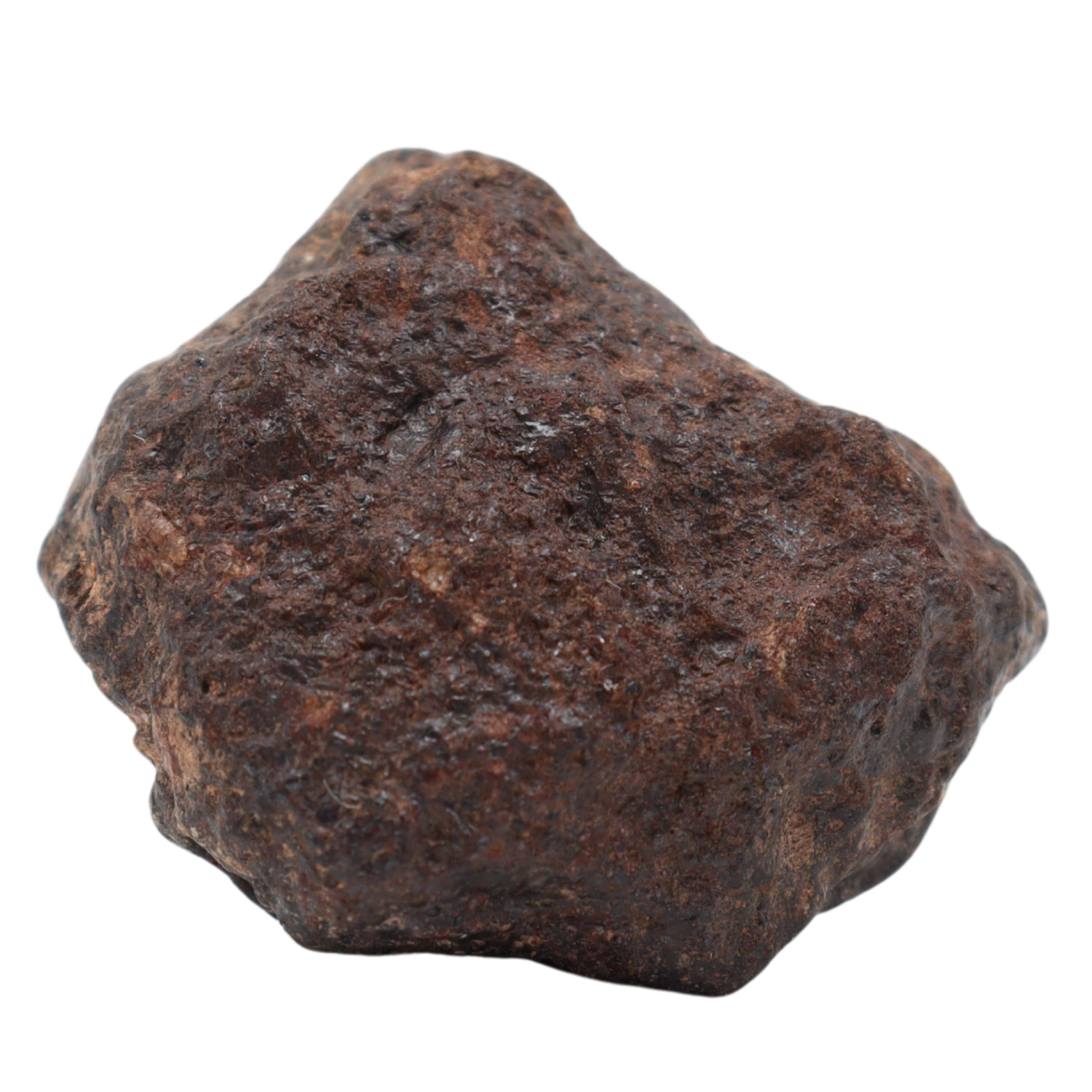 Rafsa 007 Meteorite Plutonic Angrite (17.3 g) - MBS meteorite 