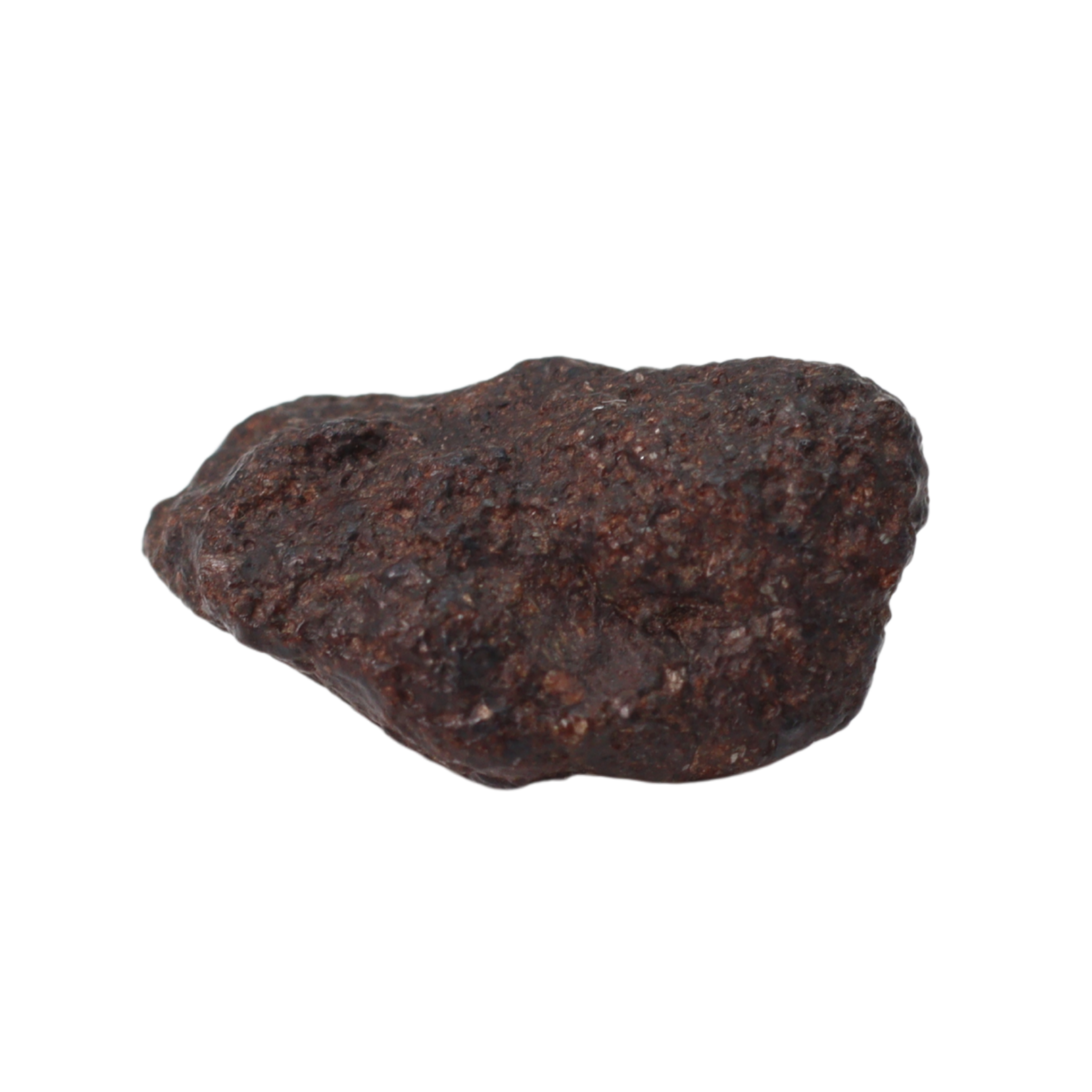 NWA 16208 Meteorite Winonaite Primitive Achondrite (1 g). - MBS meteorite 