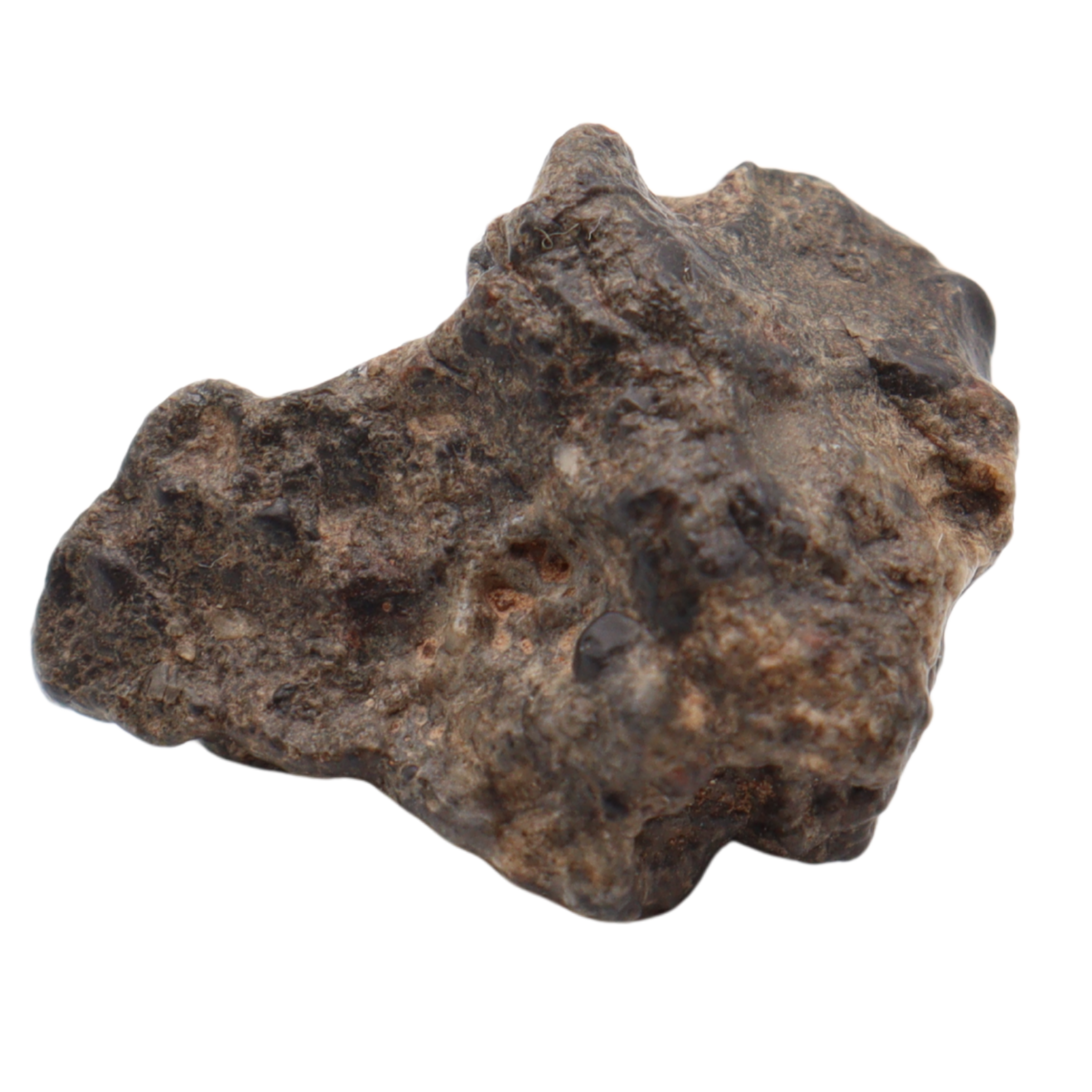 Bechar 003 Meteorite Lunar Feldspathic Breccia (5 g). - MBS meteorite 