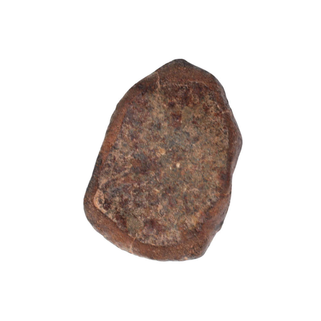 NWA 869 Meteorite Ordinary Chondrite Regolith Breccia (3.09 g) - MBS meteorite 