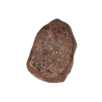 NWA 869 Meteorite Ordinary Chondrite Regolith Breccia (3.09 g) - MBS meteorite 