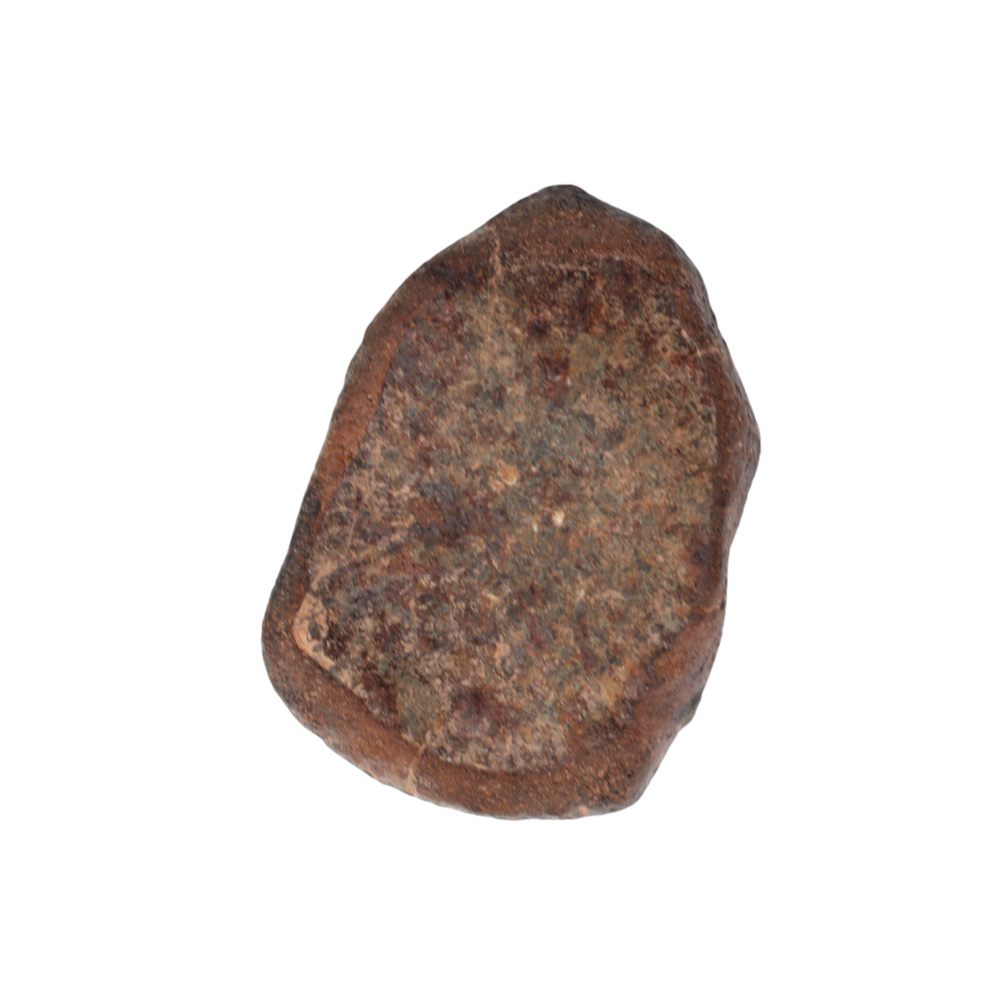 NWA 869 Meteorite Ordinary Chondrite Regolith Breccia (3.09 g) - MBS meteorite 