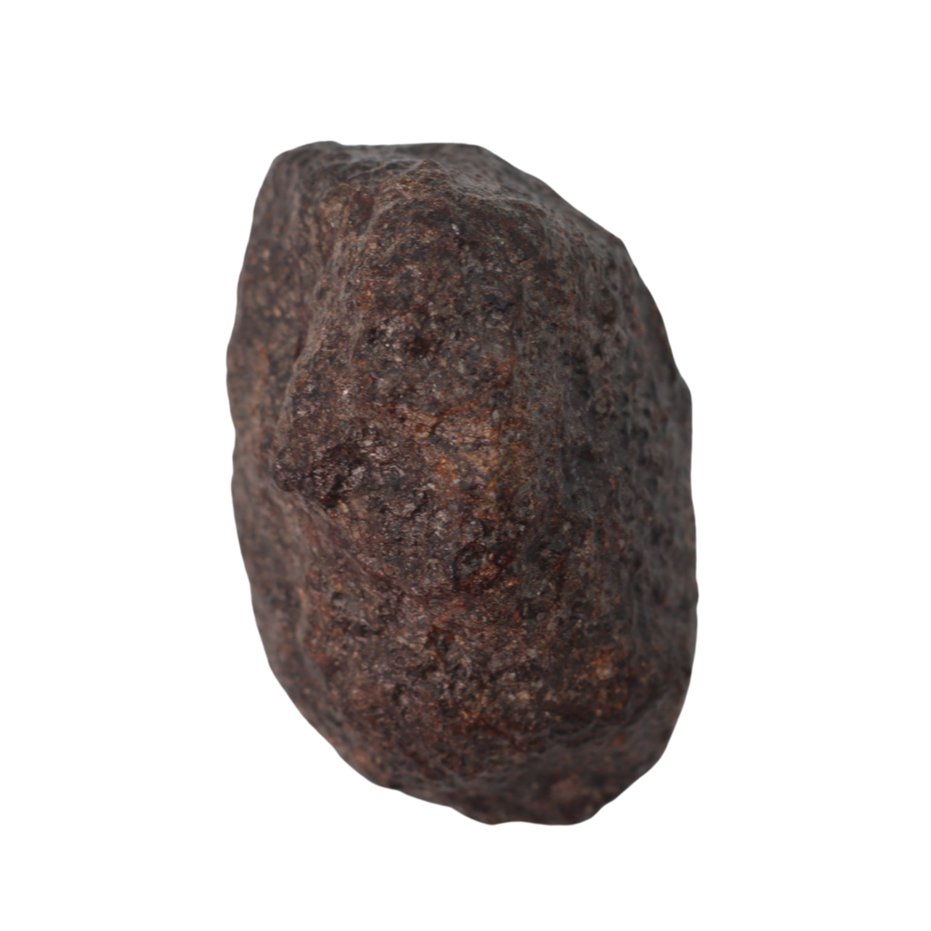 NWA 16208 Meteorite Winonaite Primitive Achondrite (5.7 g). - MBS meteorite 