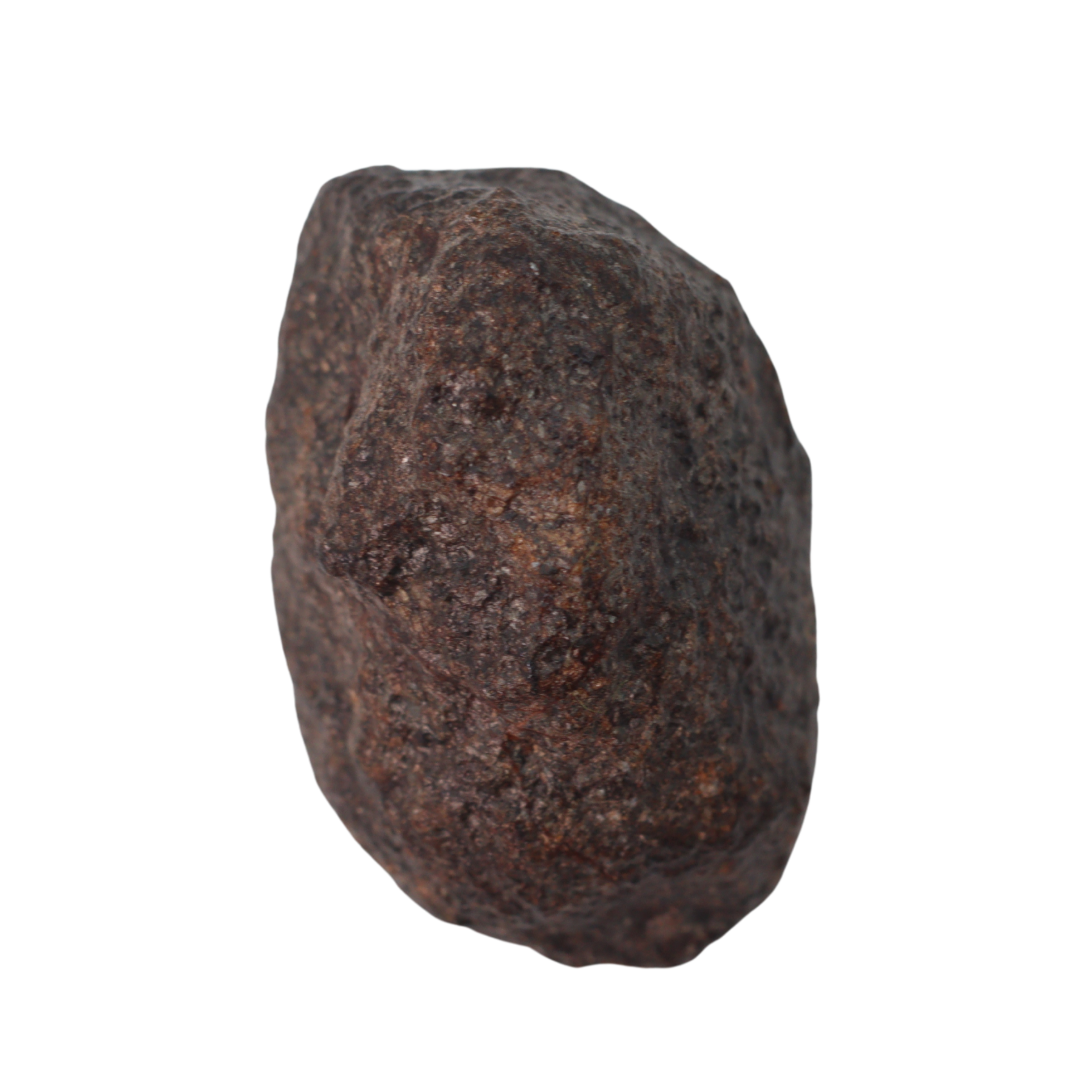 NWA 16208 Meteorite Winonaite Primitive Achondrite (5.7 g). - MBS meteorite 