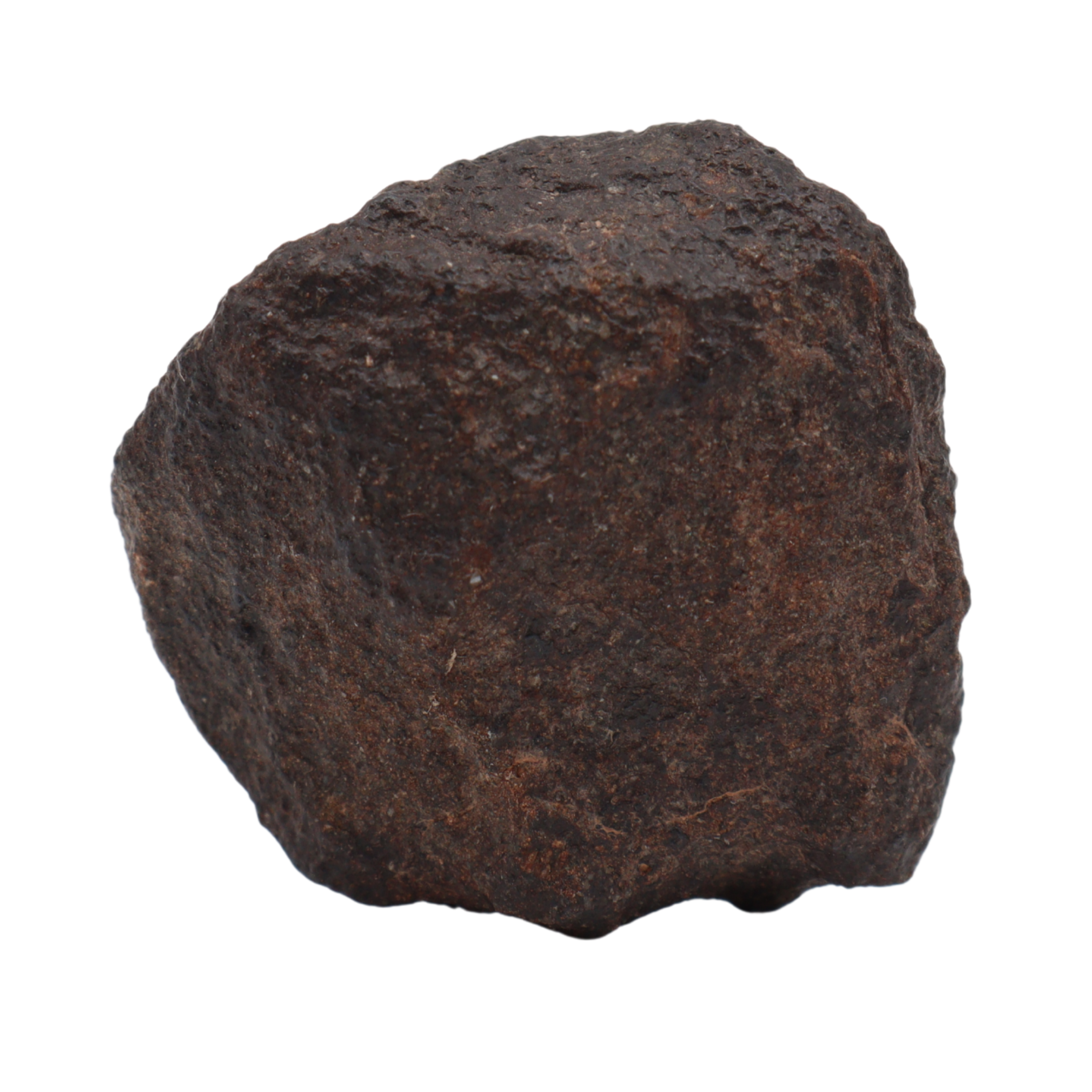 NWA 16208 Meteorite Winonaite Primitive Achondrite(14.2 g). - MBS meteorite 