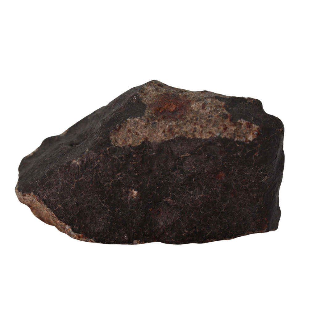 NWA 13281 Meteorite L5 Chondrite (110 g). - MBS meteorite 