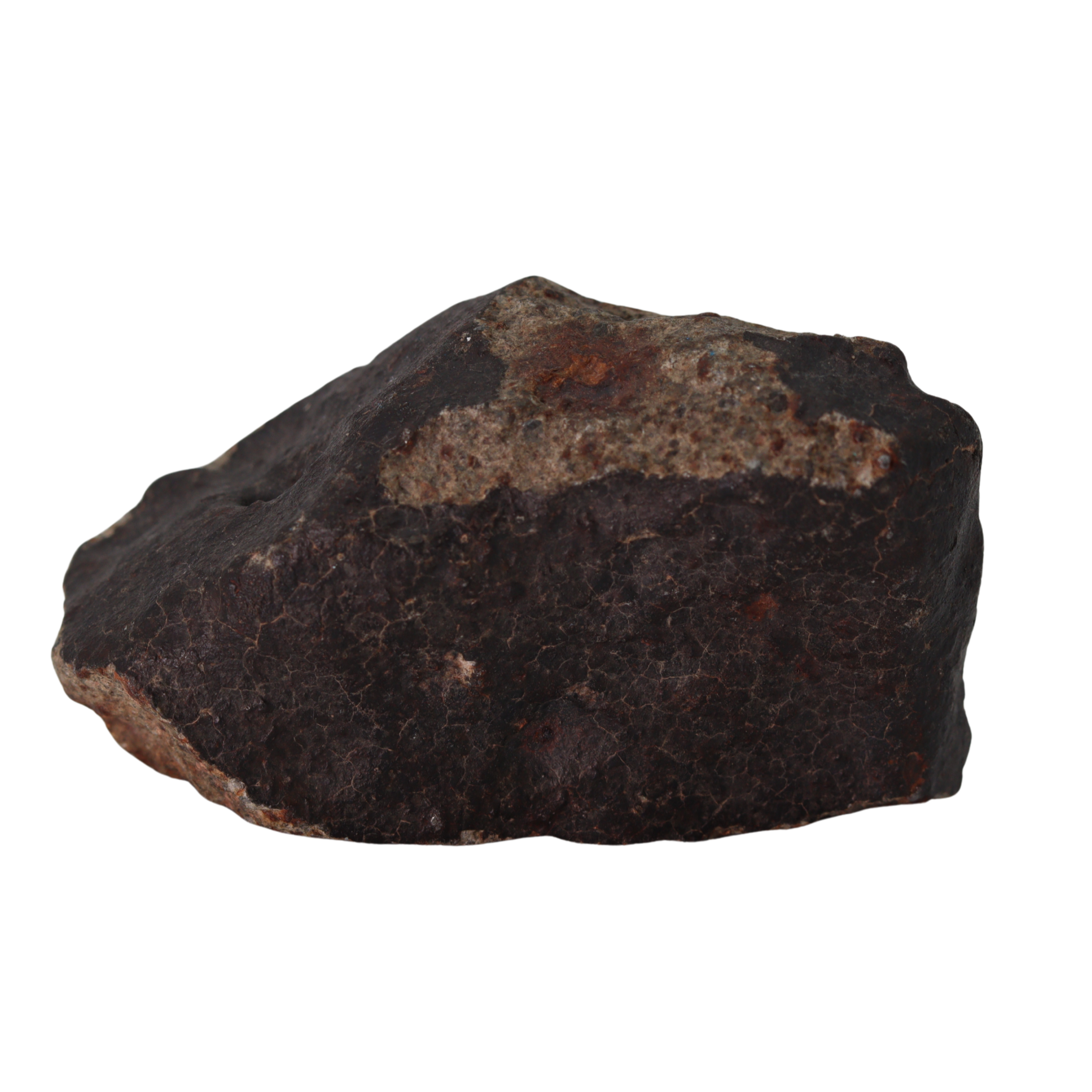 NWA 13281 Meteorite L5 Chondrite (110 g). - MBS meteorite 