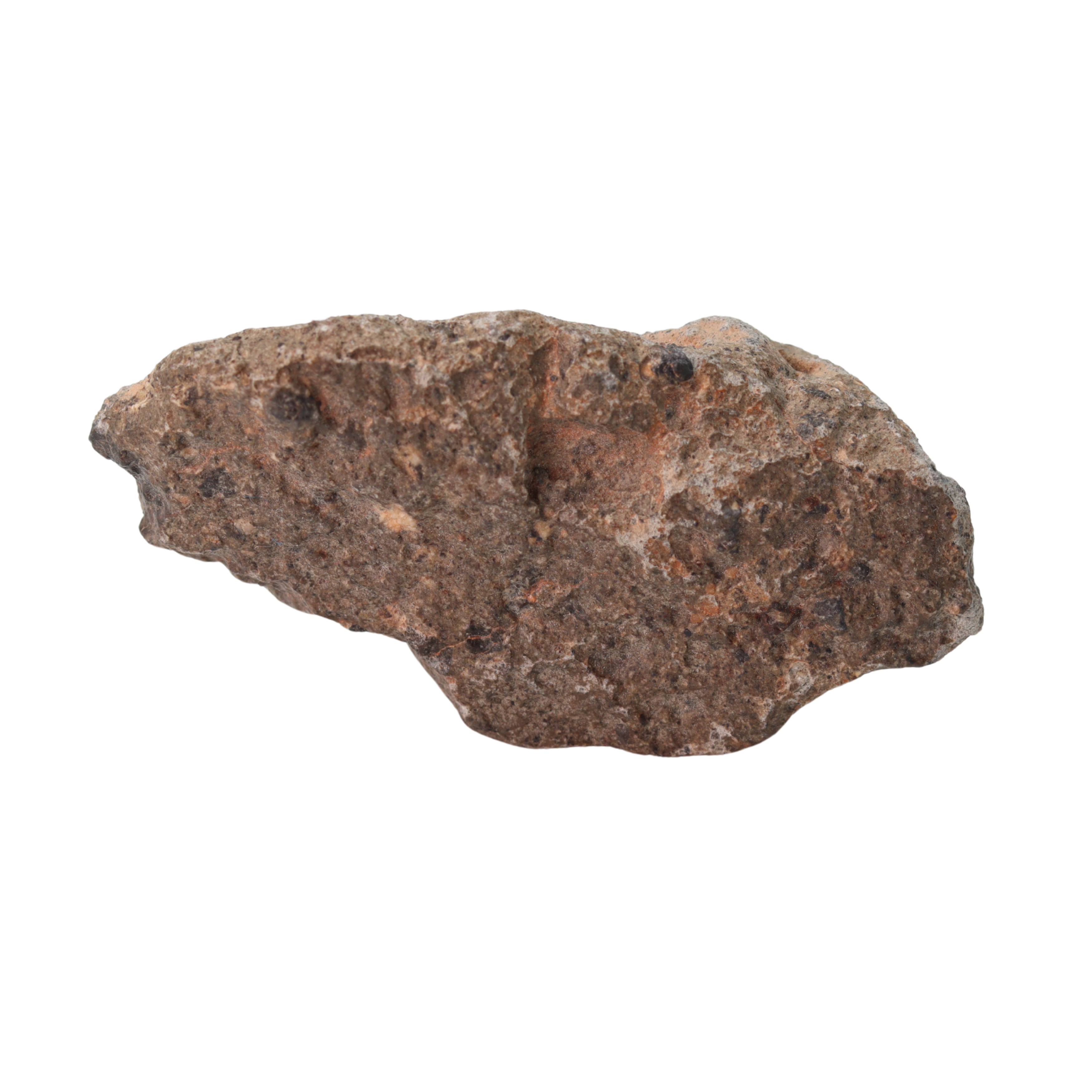 Unclassified Meteorite HED Achondrite Likely Eucrite (40.6 g) - MBS meteorite 