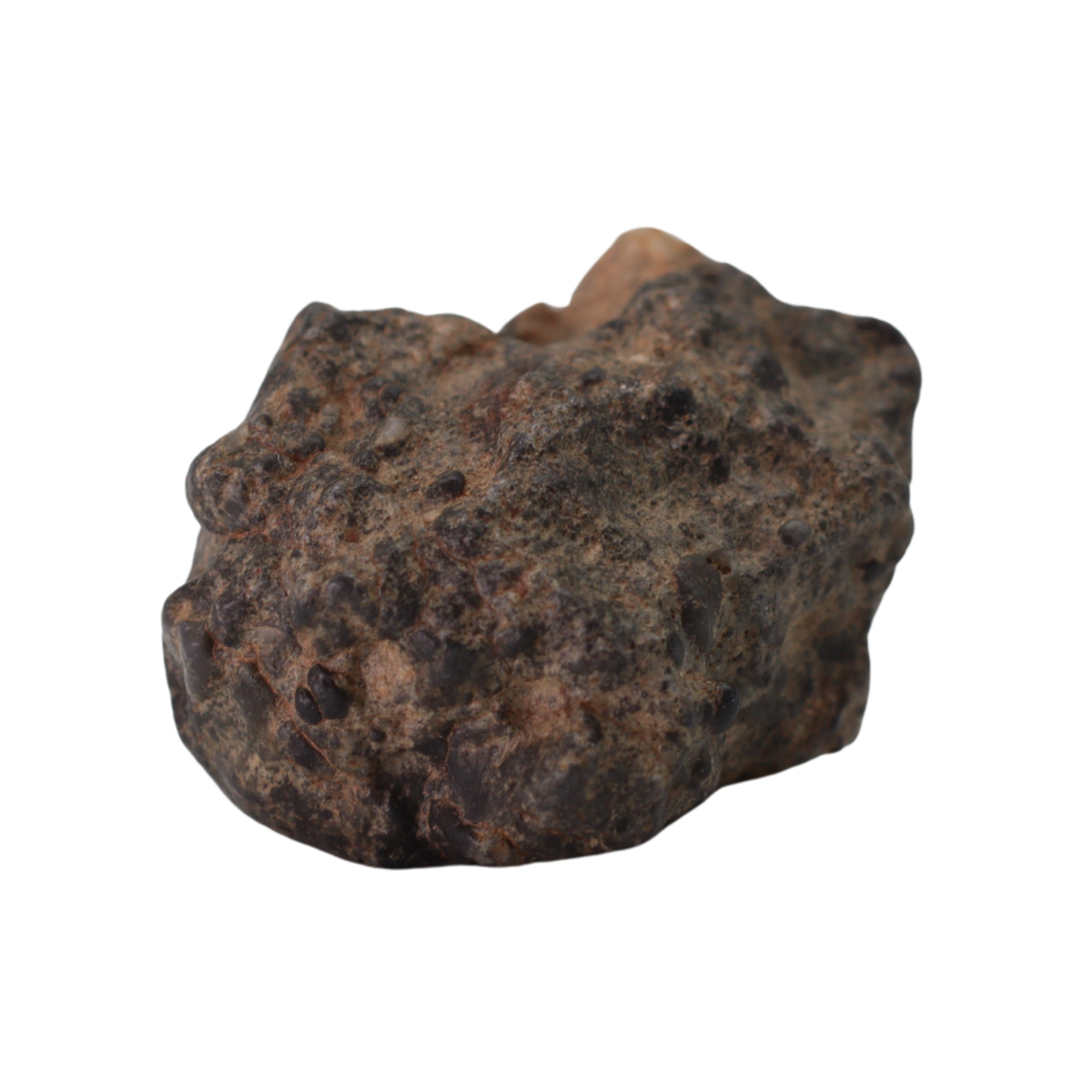 Bechar 003 Meteorite Lunar Feldspathic Breccia (2.76 g). - MBS meteorite 