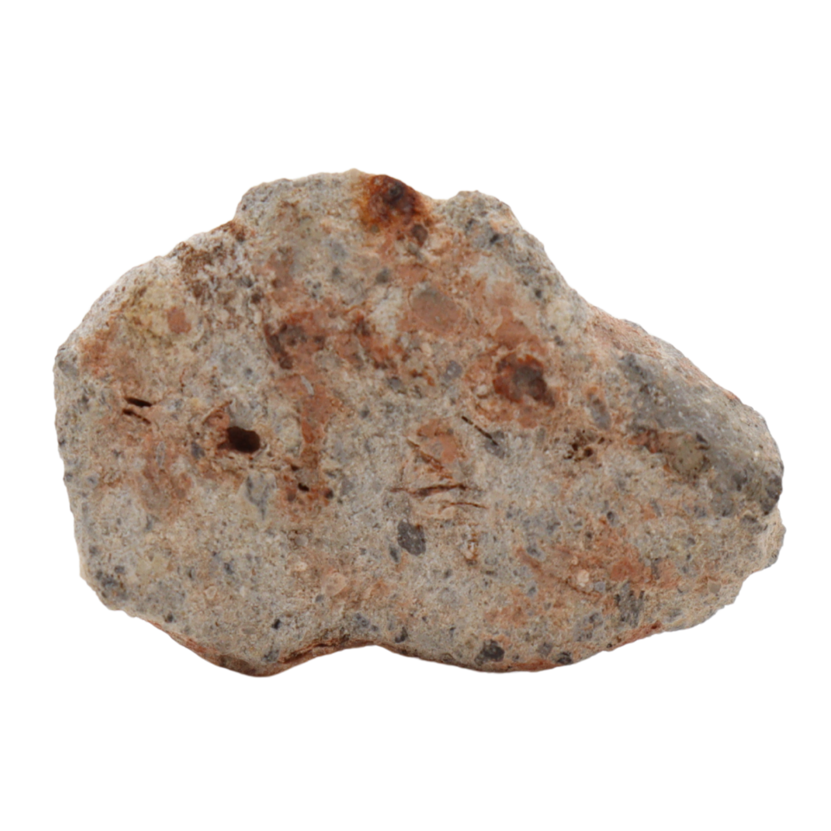Bechar 003 Meteorite Lunar Feldspathic Breccia (2.8 g). - MBS meteorite 