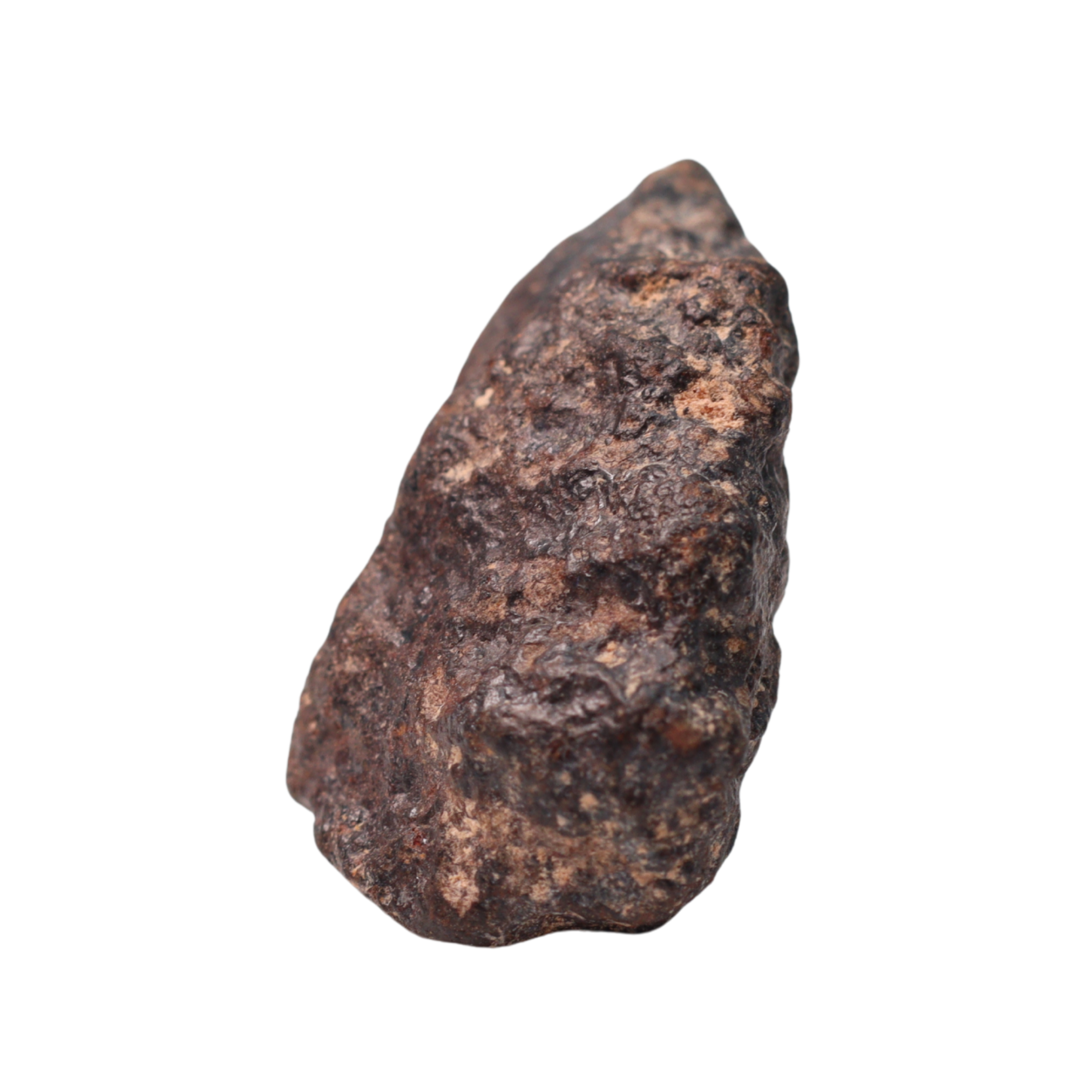 Rafsa 007 Meteorite Angrite Achondrite (5.4 g) - MBS meteorite 