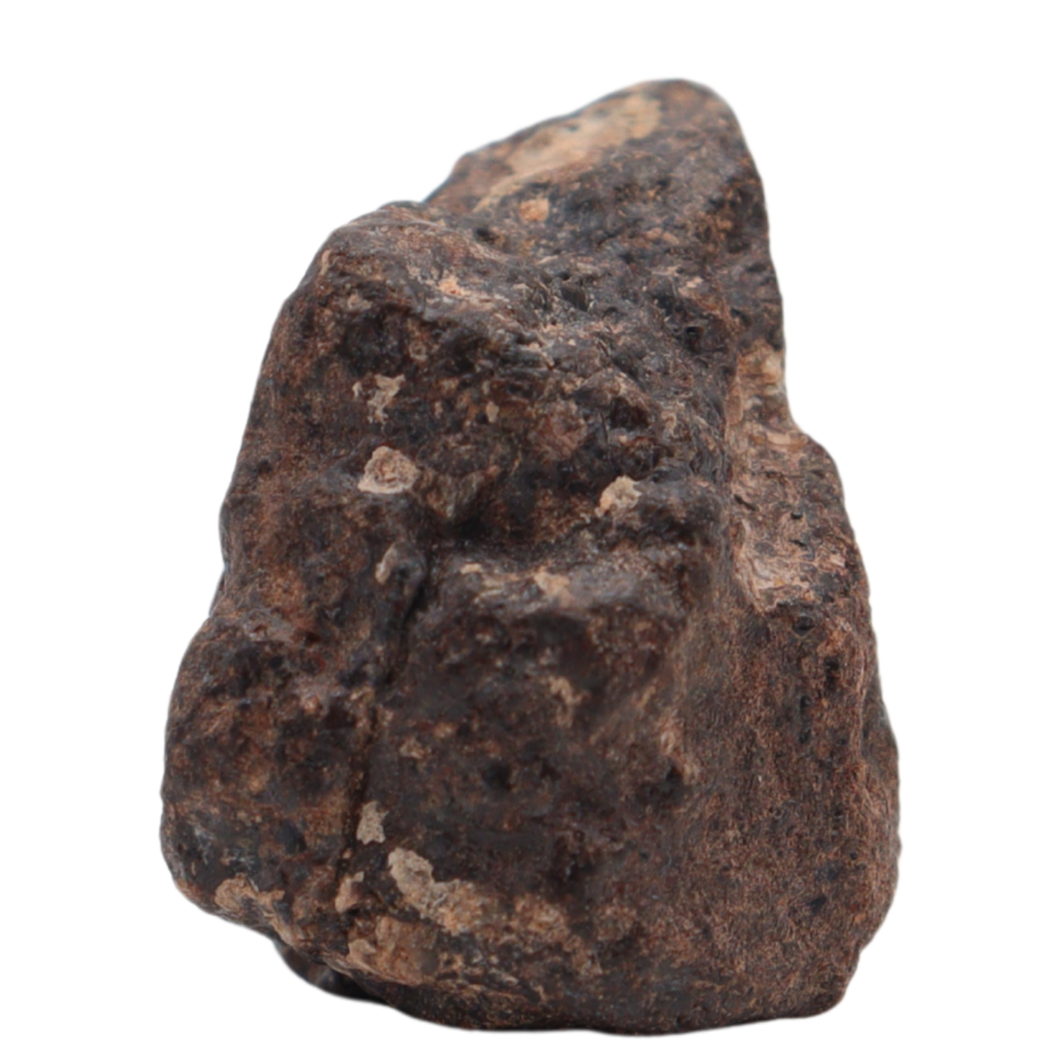 Rafsa 007 Meteorite Plutonic Angrite (11.2 g). - MBS meteorite 