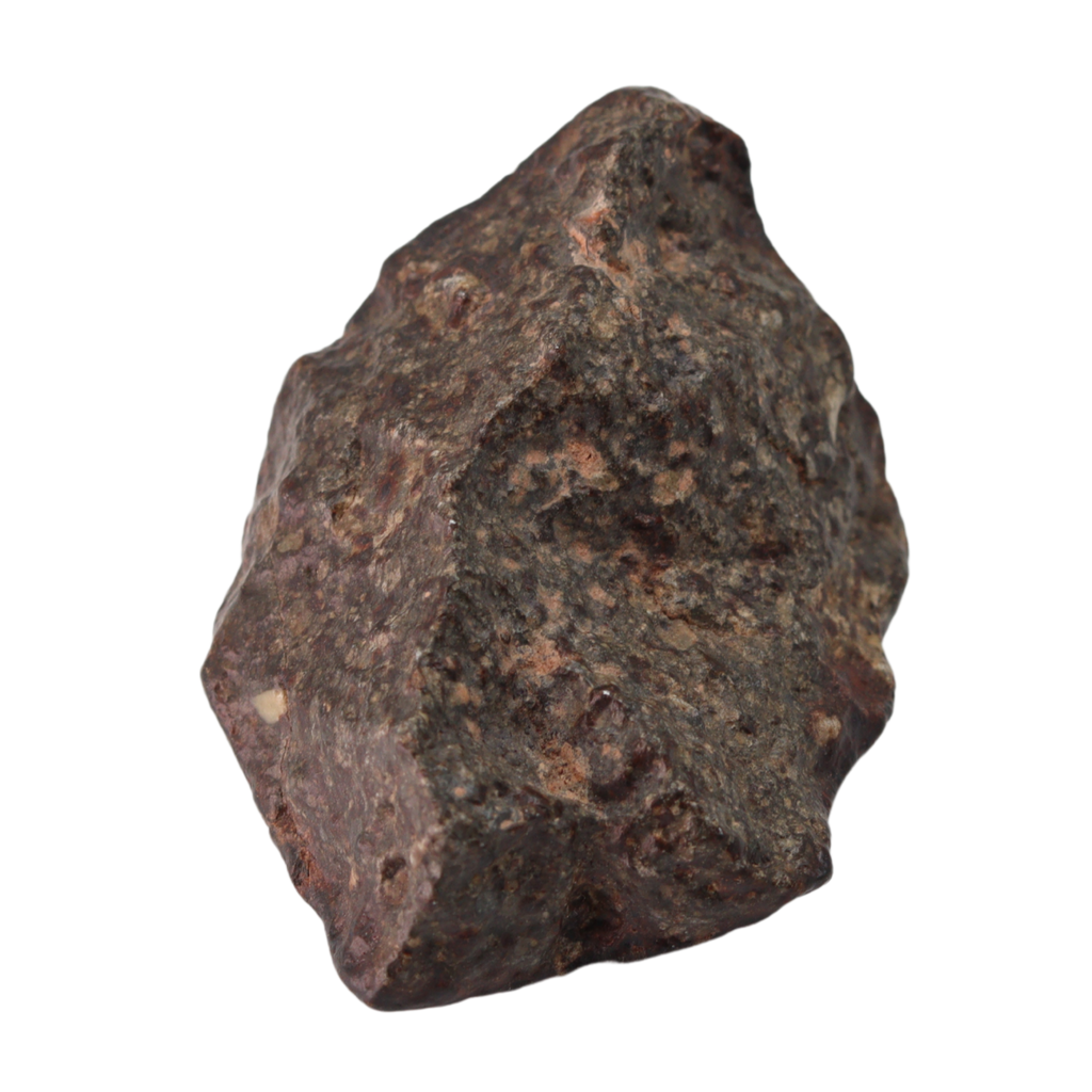 NWA 869 Meteorite L3-6 Regolith Breccia (23.69 g). - MBS meteorite 