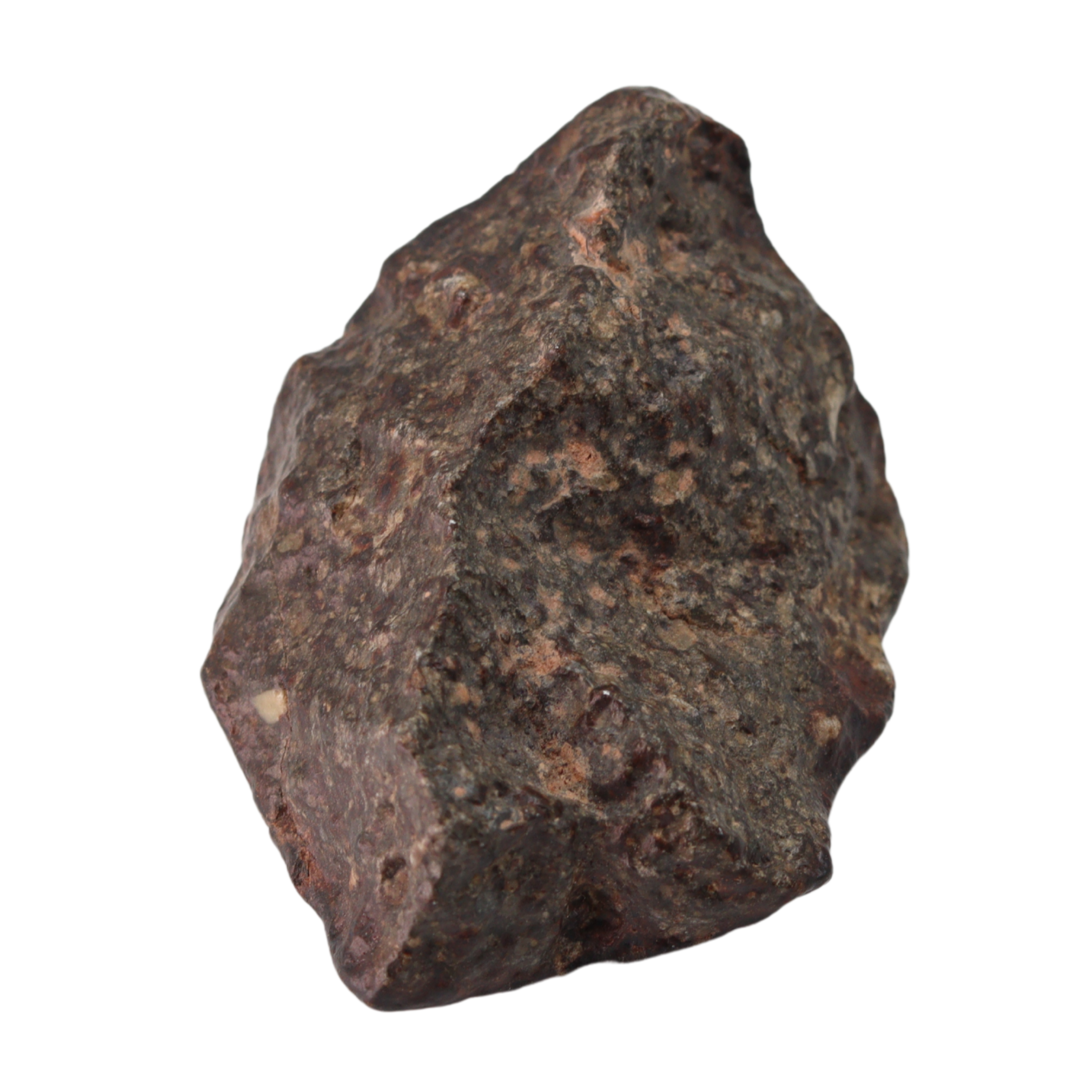 NWA 869 Meteorite L3-6 Regolith Breccia (23.69 g). - MBS meteorite 