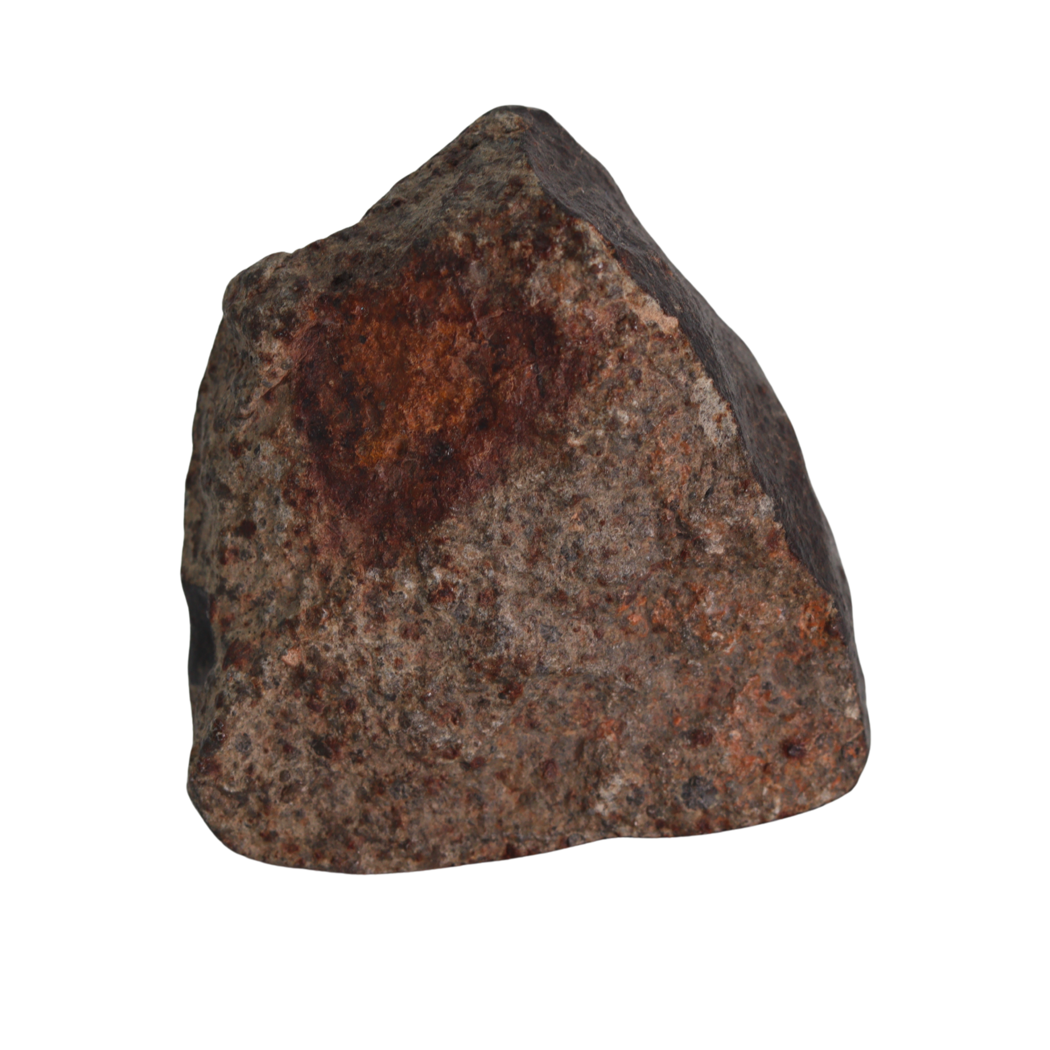 NWA 13281 Meteorite L5 Chondrite Hand Specimen (115 g). - MBS meteorite 