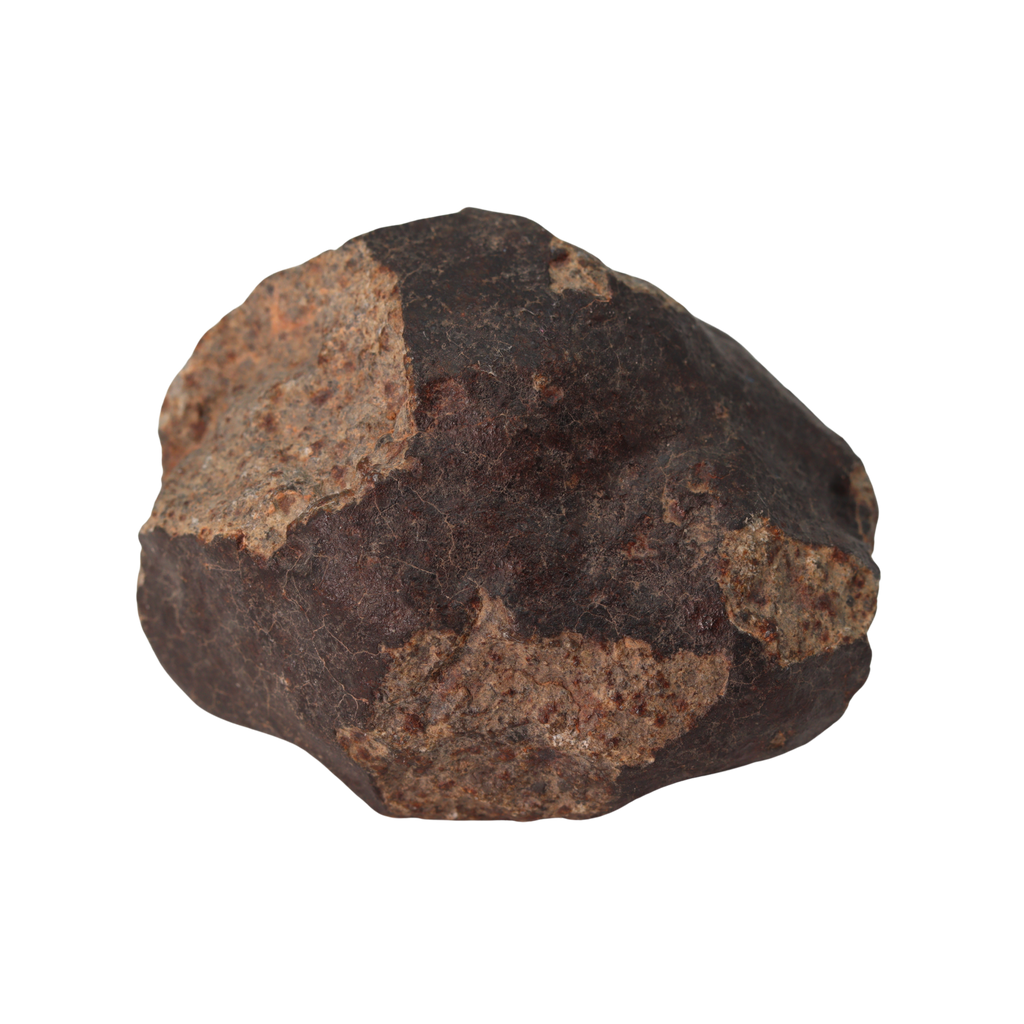 NWA 13281 Meteorite Ordinary Chondrite L5 (250 g) - MBS meteorite 