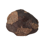 NWA 13281 Meteorite Ordinary Chondrite L5 (250 g) - MBS meteorite 