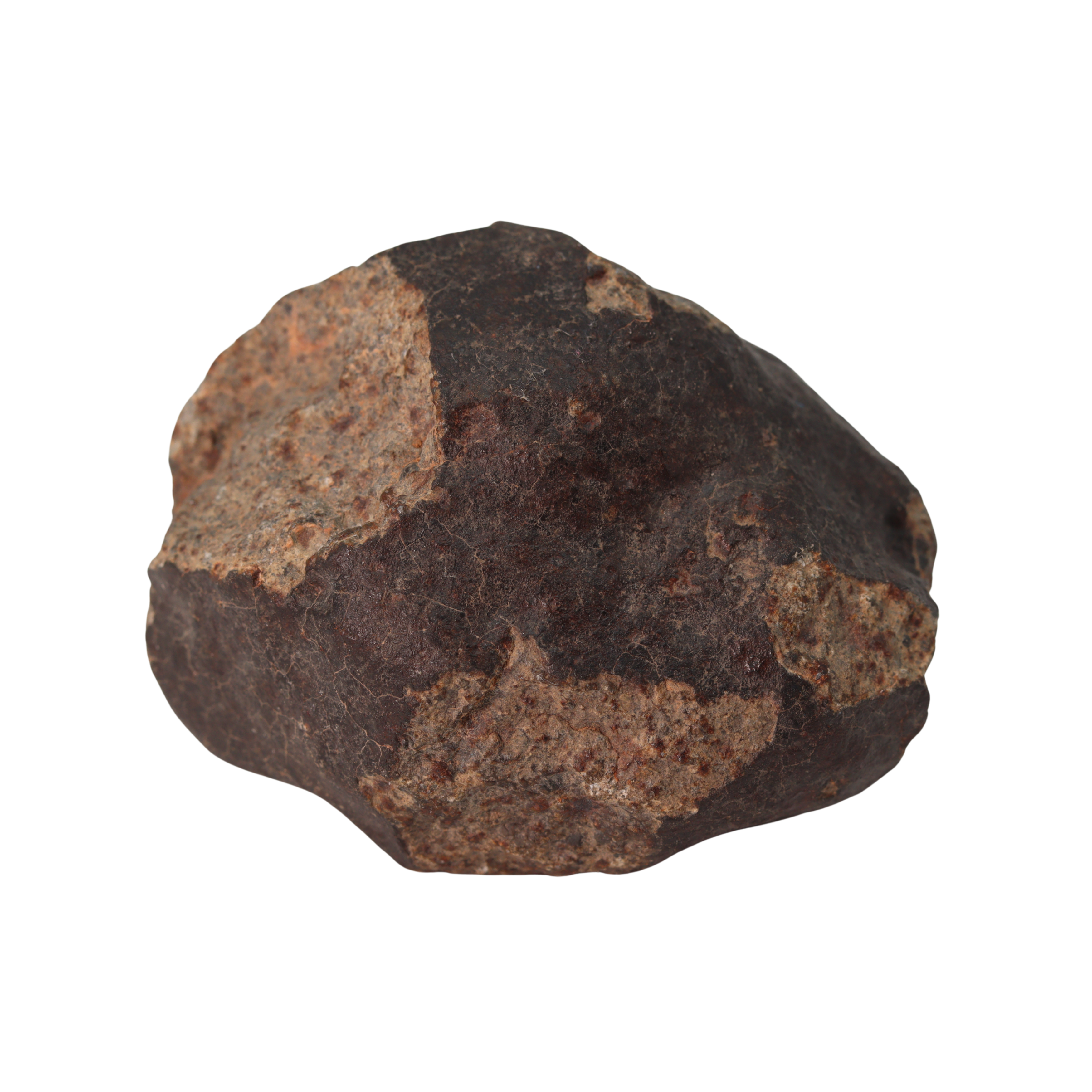 NWA 13281 Meteorite Ordinary Chondrite L5 (250 g) - MBS meteorite 