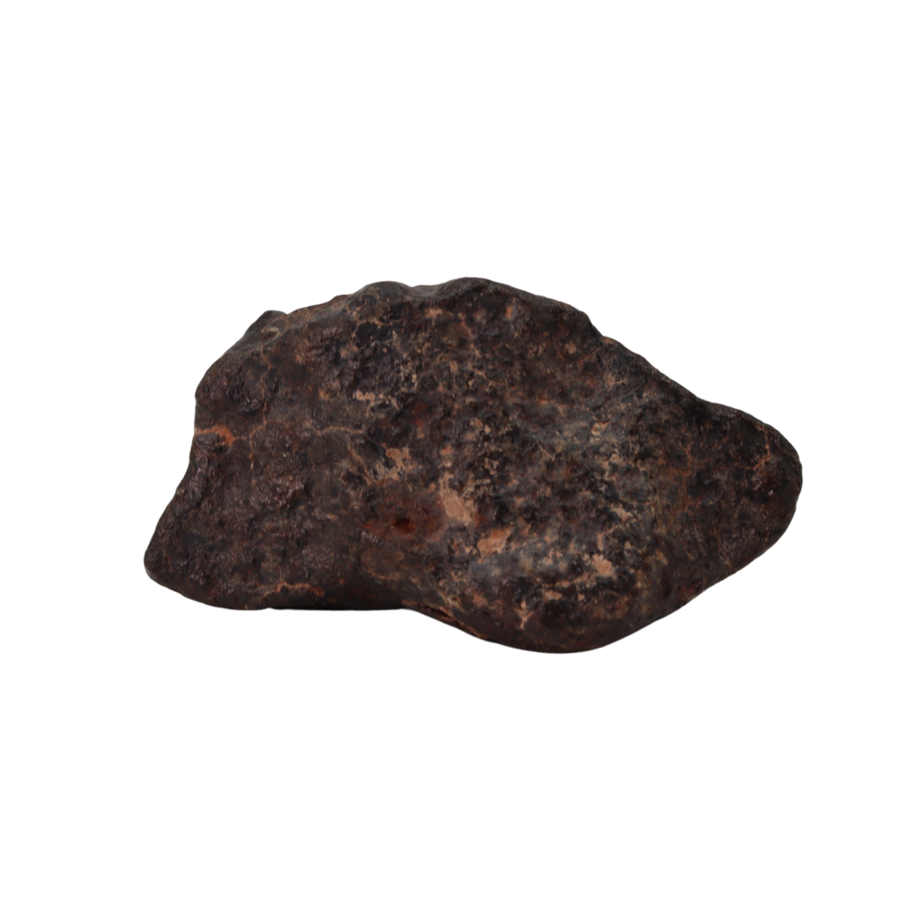 NWA 869 Meteorite Ordinary Chondrite Regolith Breccia (24.00 g). - MBS meteorite 