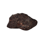 NWA 869 Meteorite Ordinary Chondrite Regolith Breccia (24.00 g). - MBS meteorite 