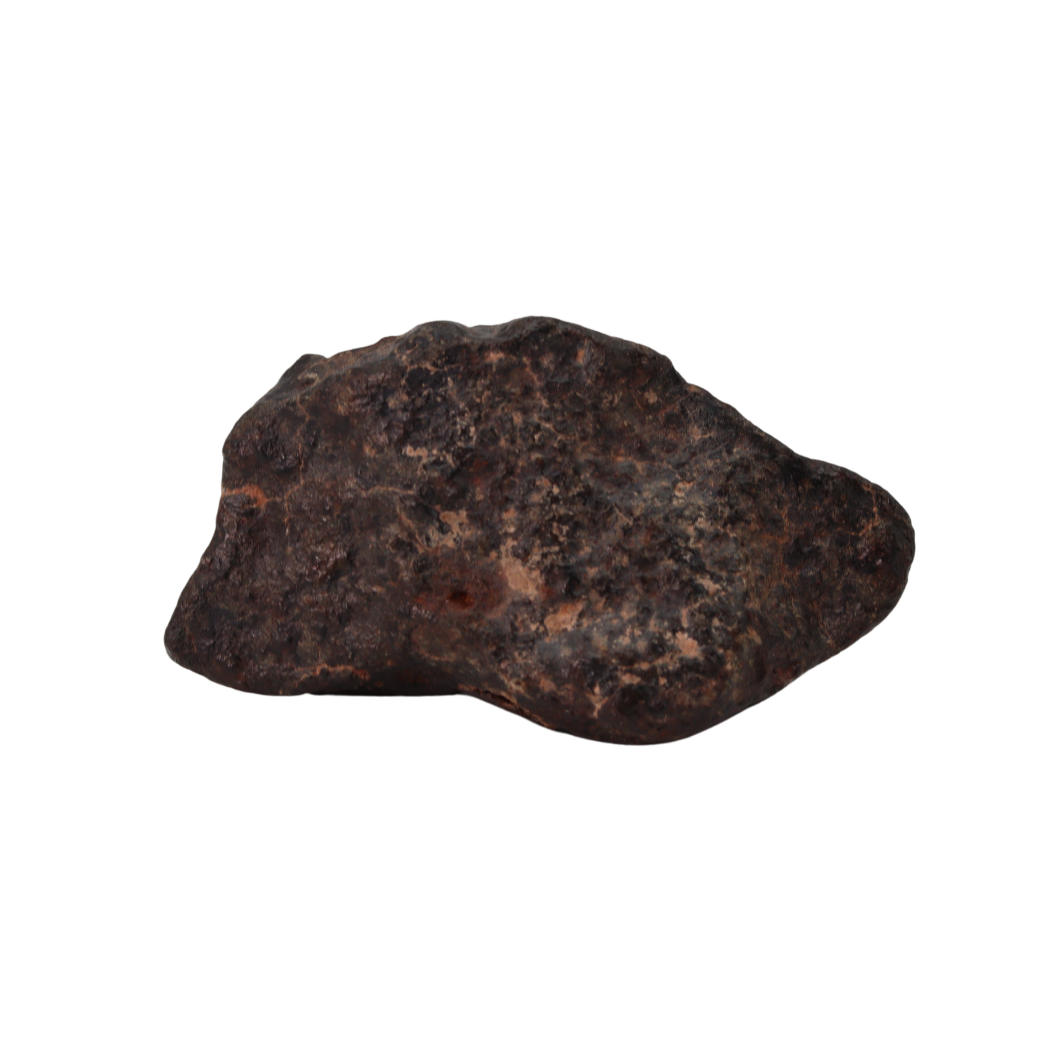 NWA 869 Meteorite Ordinary Chondrite Regolith Breccia (24.00 g). - MBS meteorite 