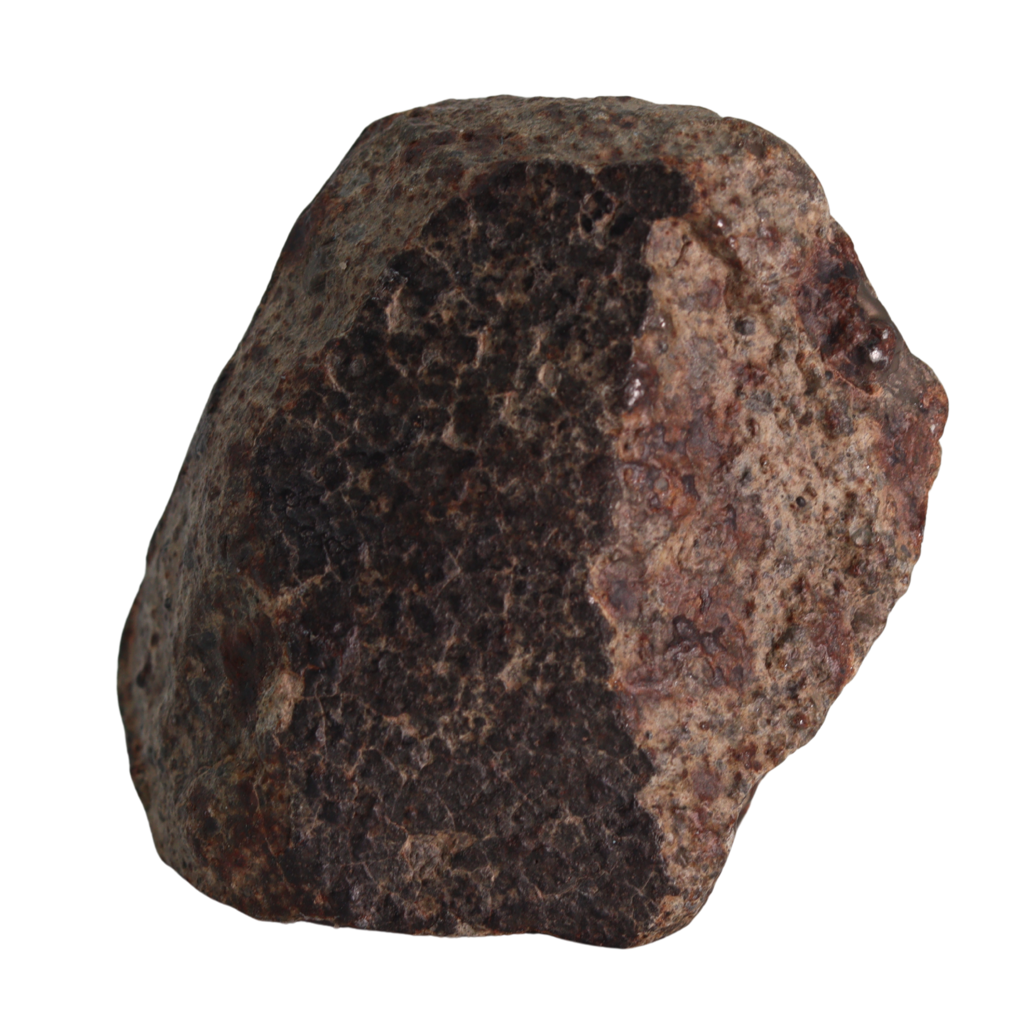 NWA 13281 Meteorite L5 Chondrite (165 g). - MBS meteorite 